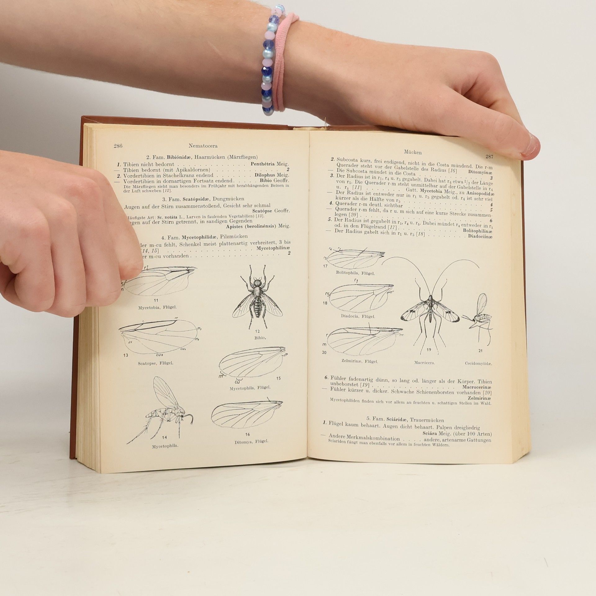 Paul Brohmer Fauna von Deutschland