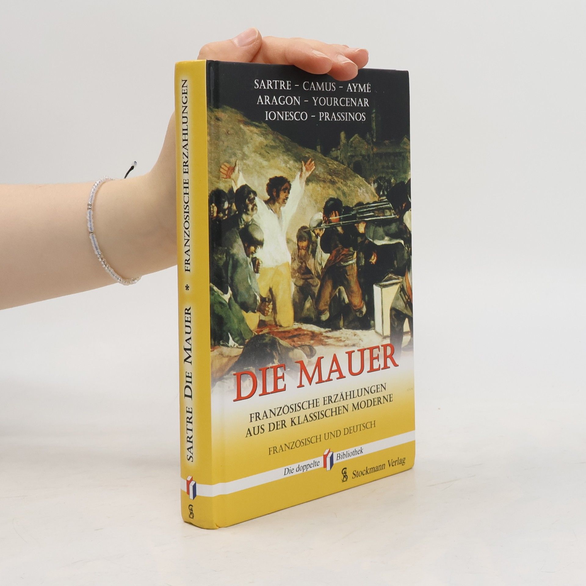 Die doppelte Bibliothek: Die Mauer
