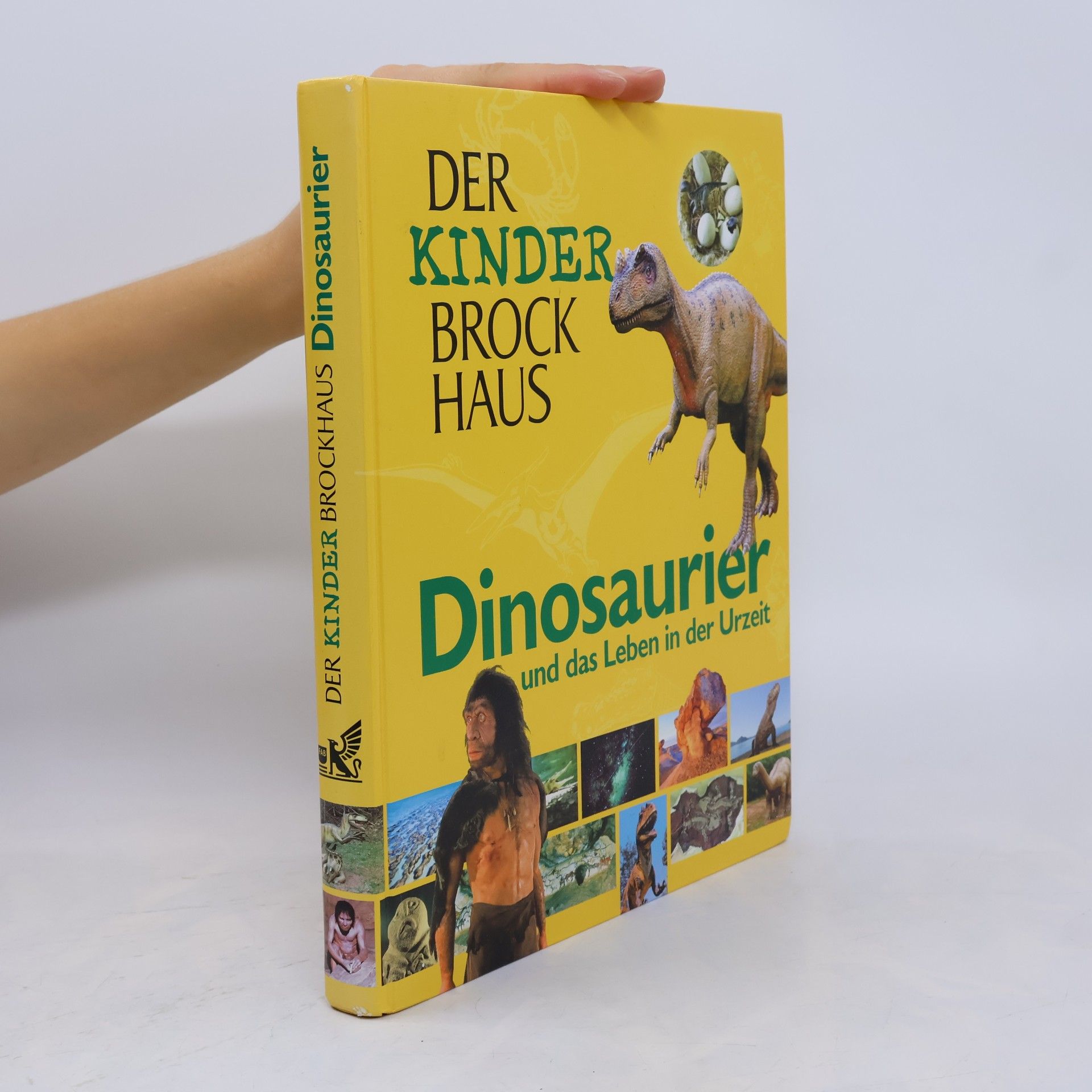Thomas Thiemeyer Der Kinder-Brockhaus - Dinosaurier und das Leben in der Urzeit