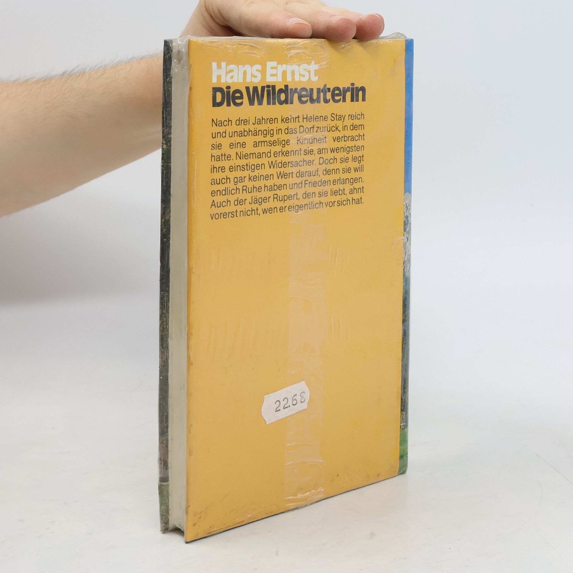 Hans-Ernst Schwiete Die Wildreuterin