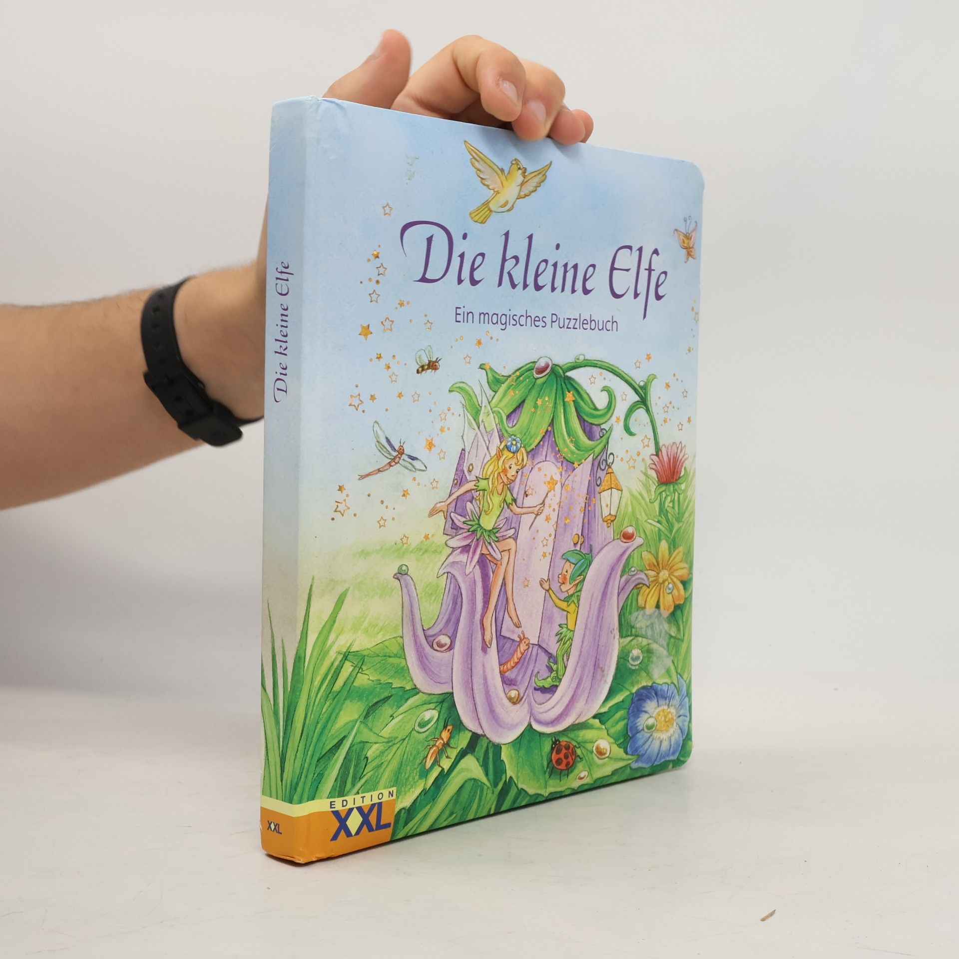 AA.VV. Die kleine Elfe