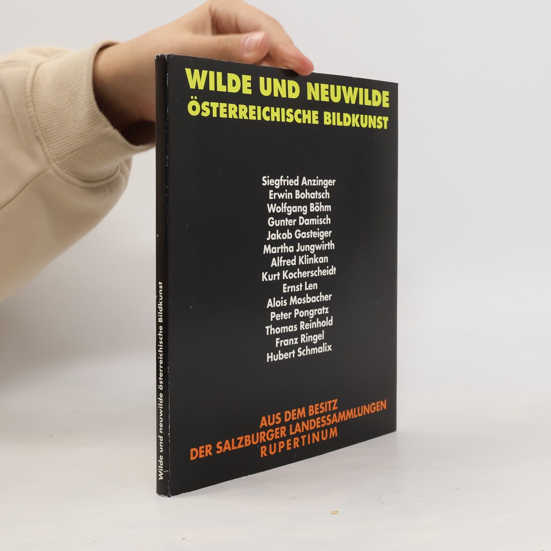 Autorenkollektiv Wilde und Neuwilde österreichische Bildkunst