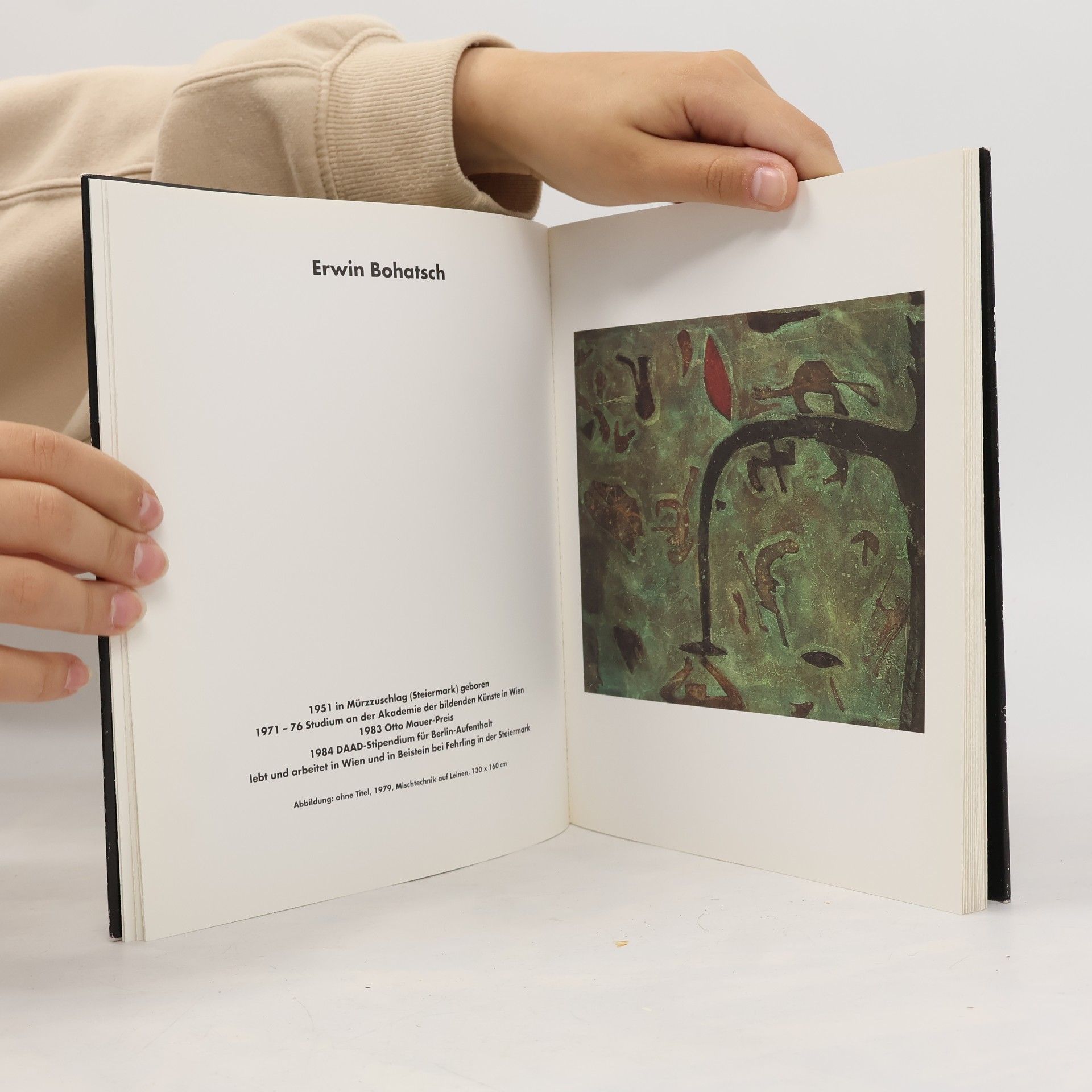 Autorenkollektiv Wilde und Neuwilde österreichische Bildkunst