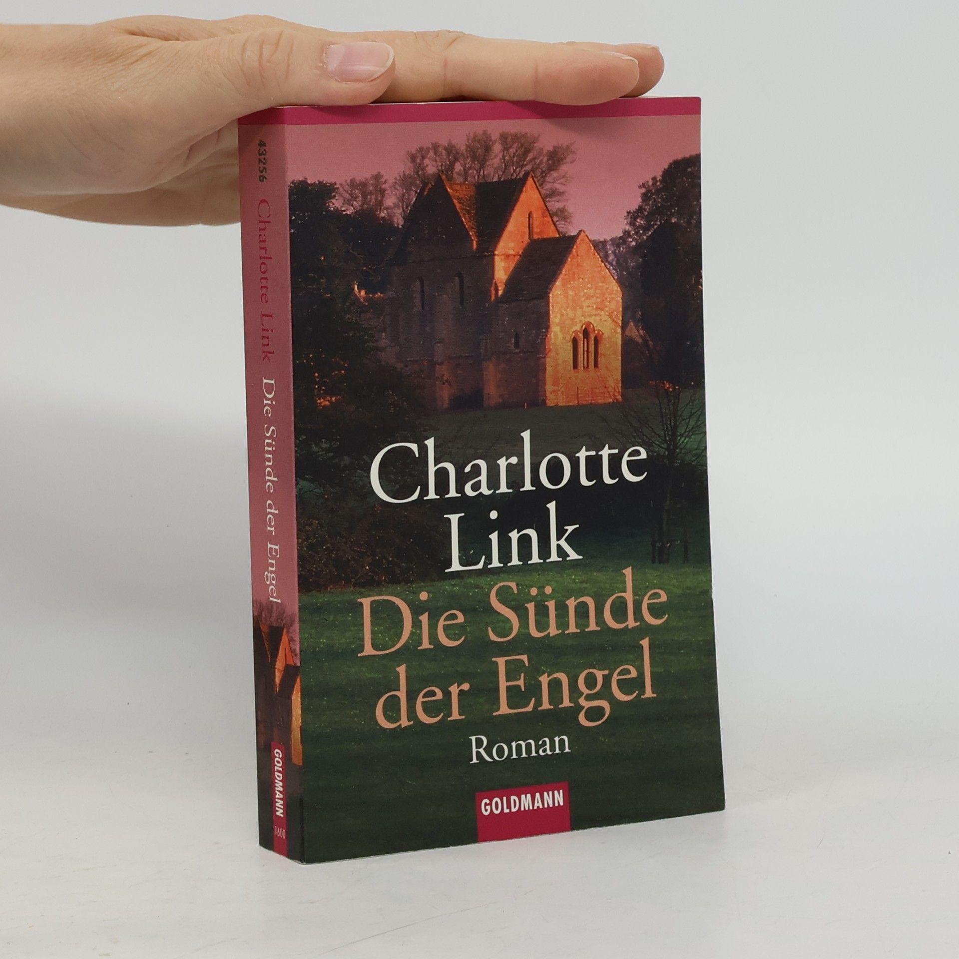 Charlotte Link Die Sünde der Engel