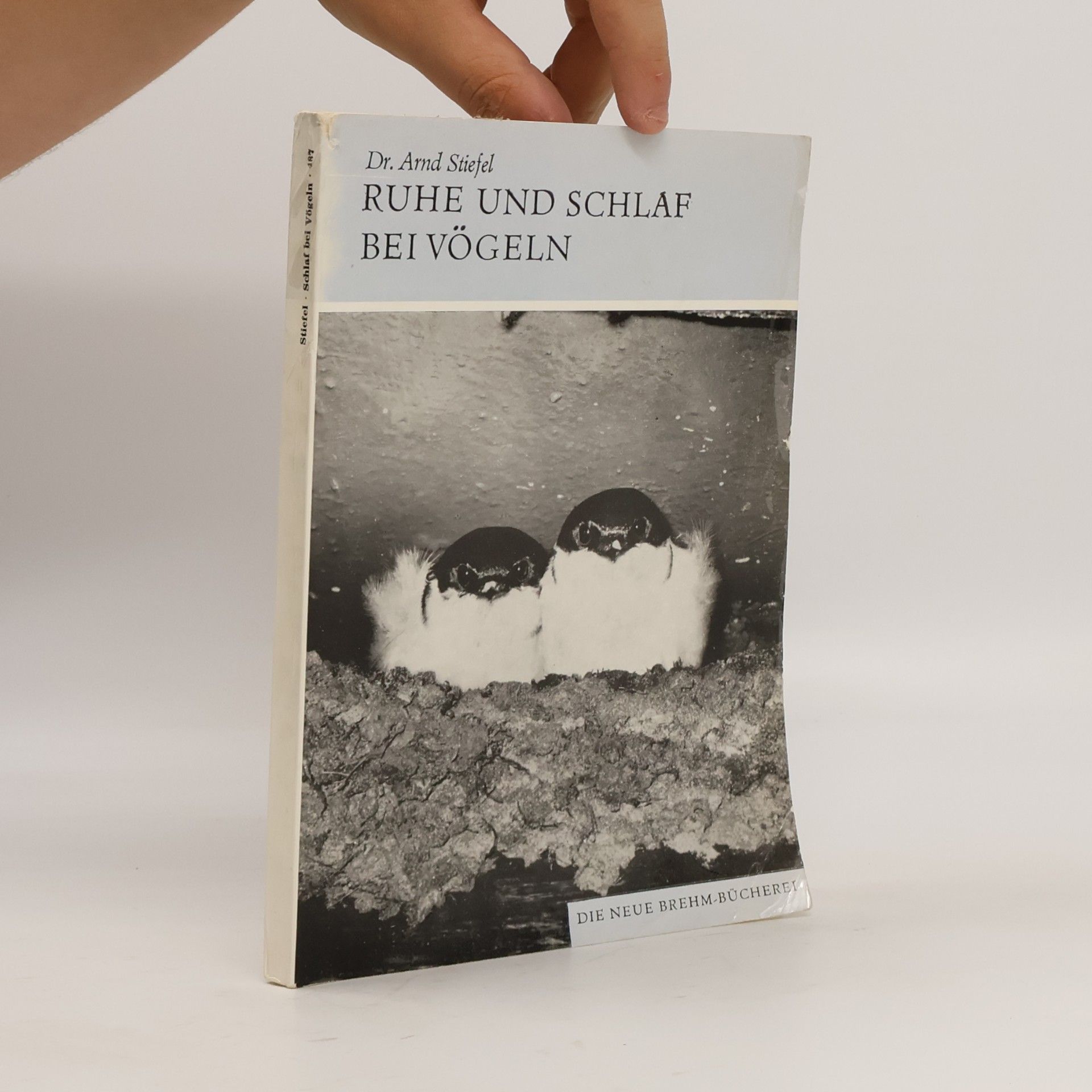 Dr. Arnd Stiefel RUHE UND SCHLAF BEI VÖGELN