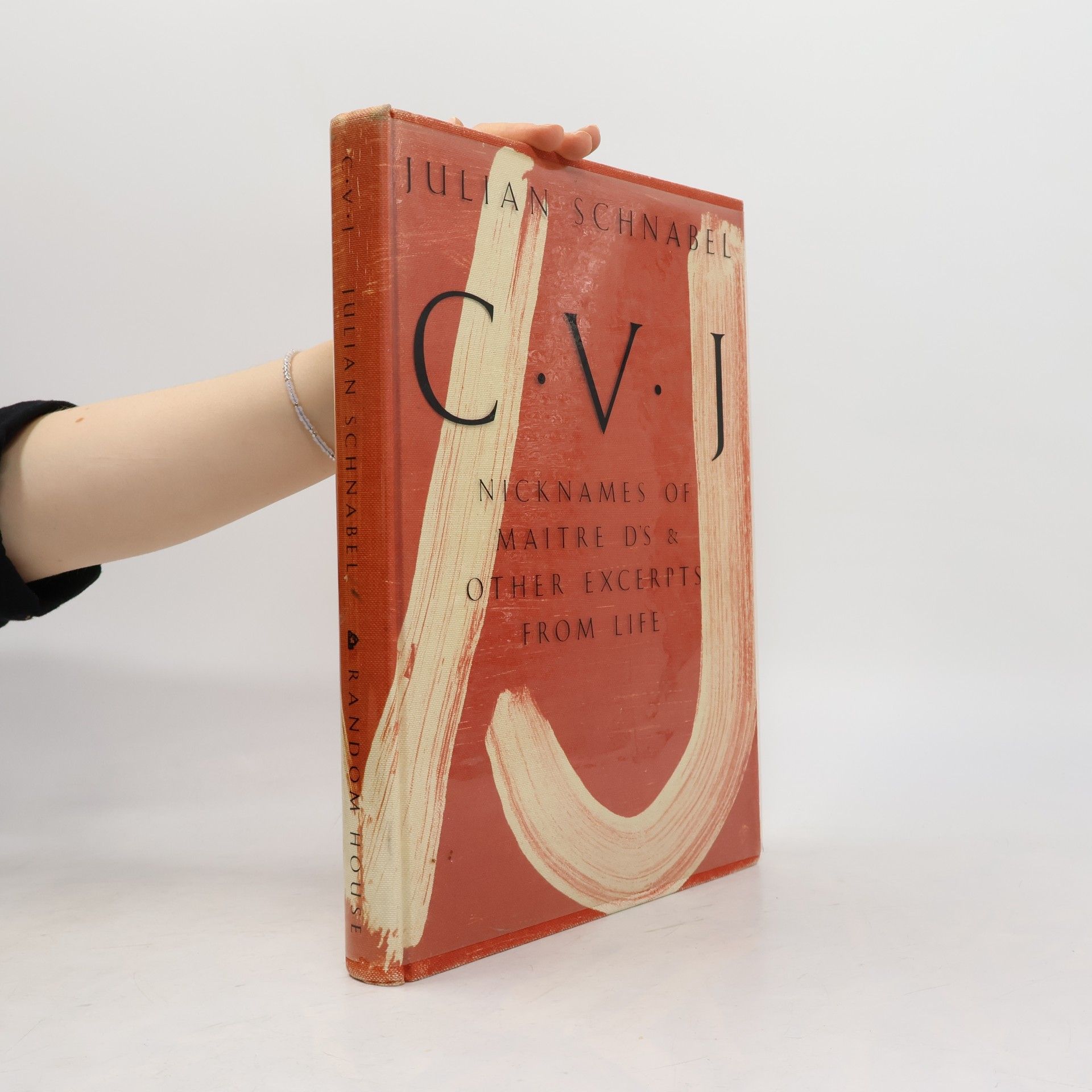 Julian Schnabel CVJ