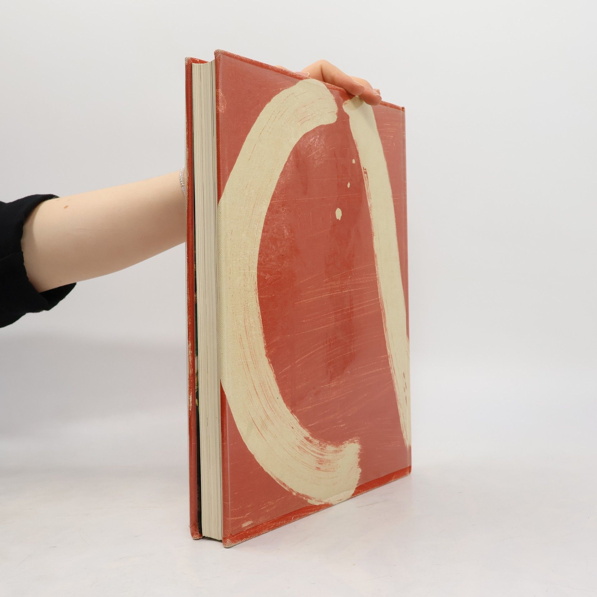 Julian Schnabel CVJ