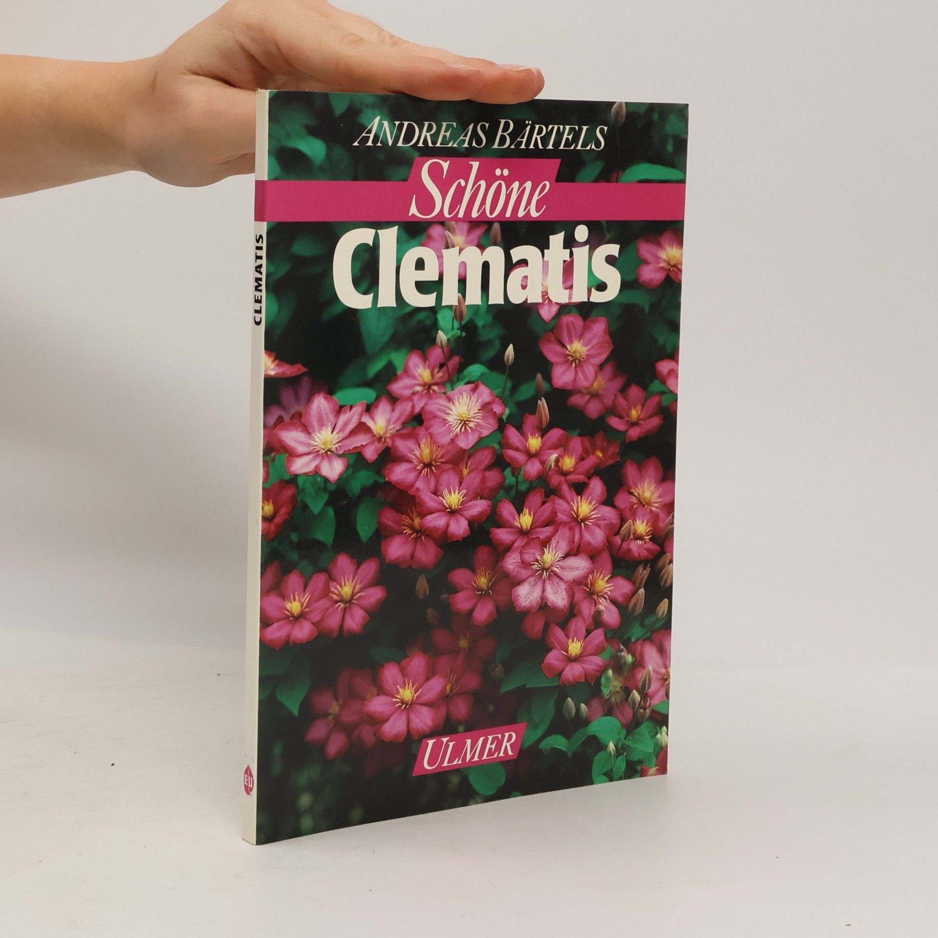 Andreas Bärtels Schöne Clematis