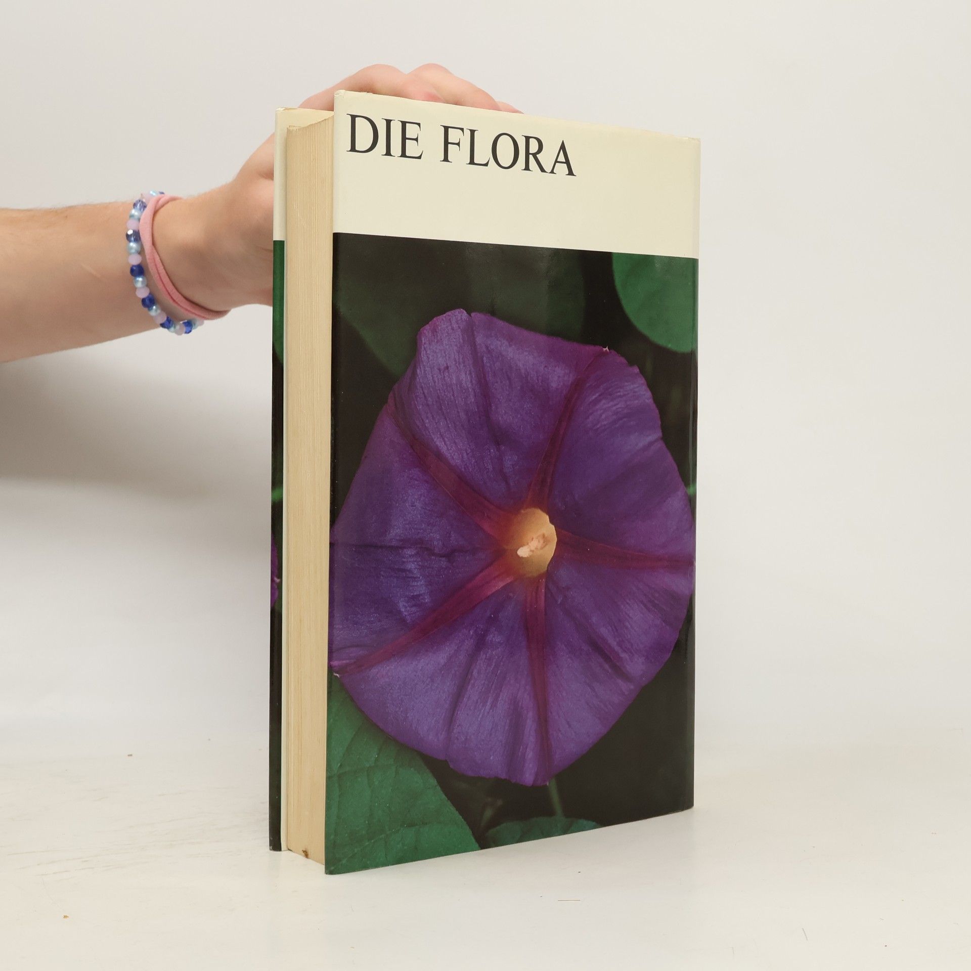 Paule Corsin Die Flora