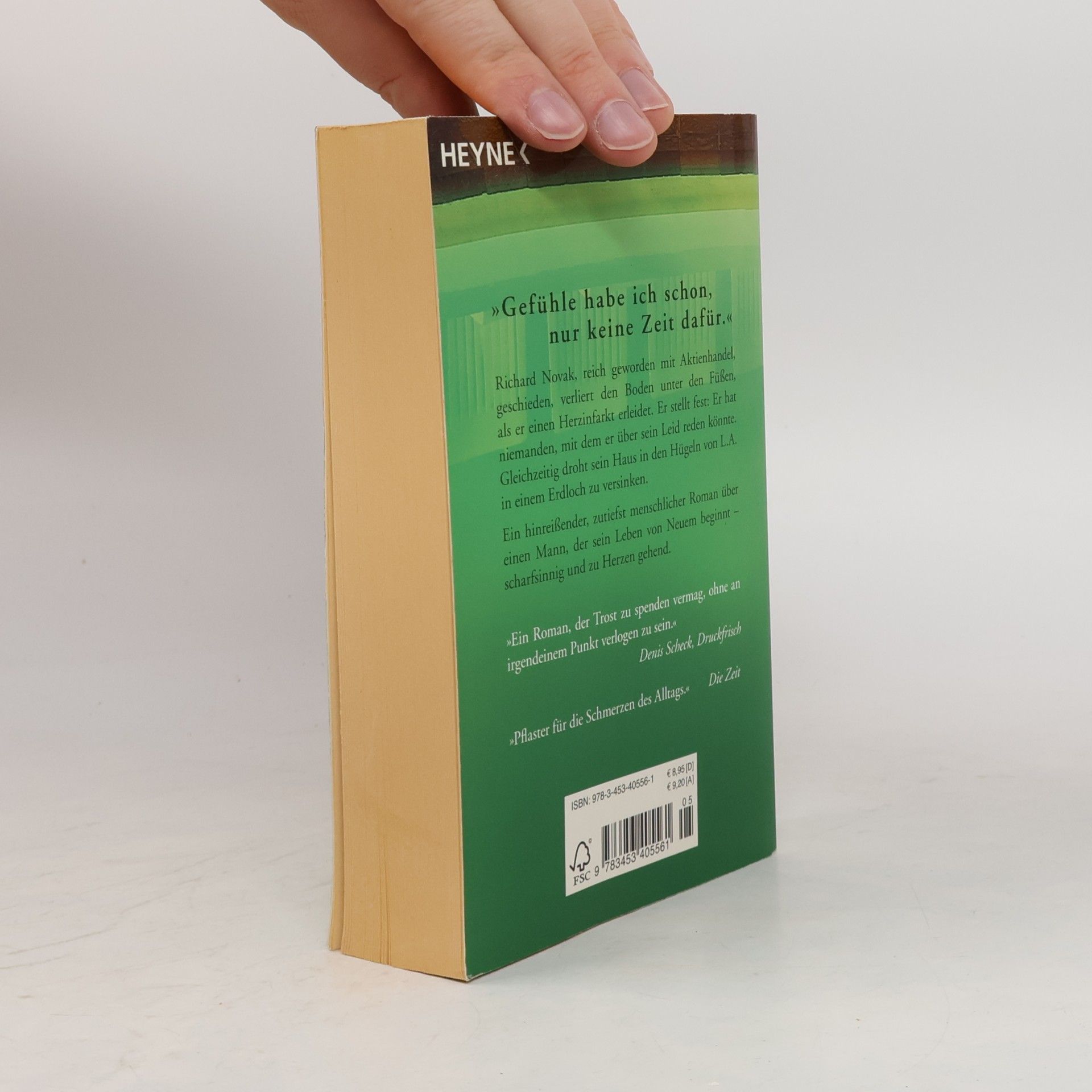 A. M. Homes Dieses Buch wird ihr Leben retten