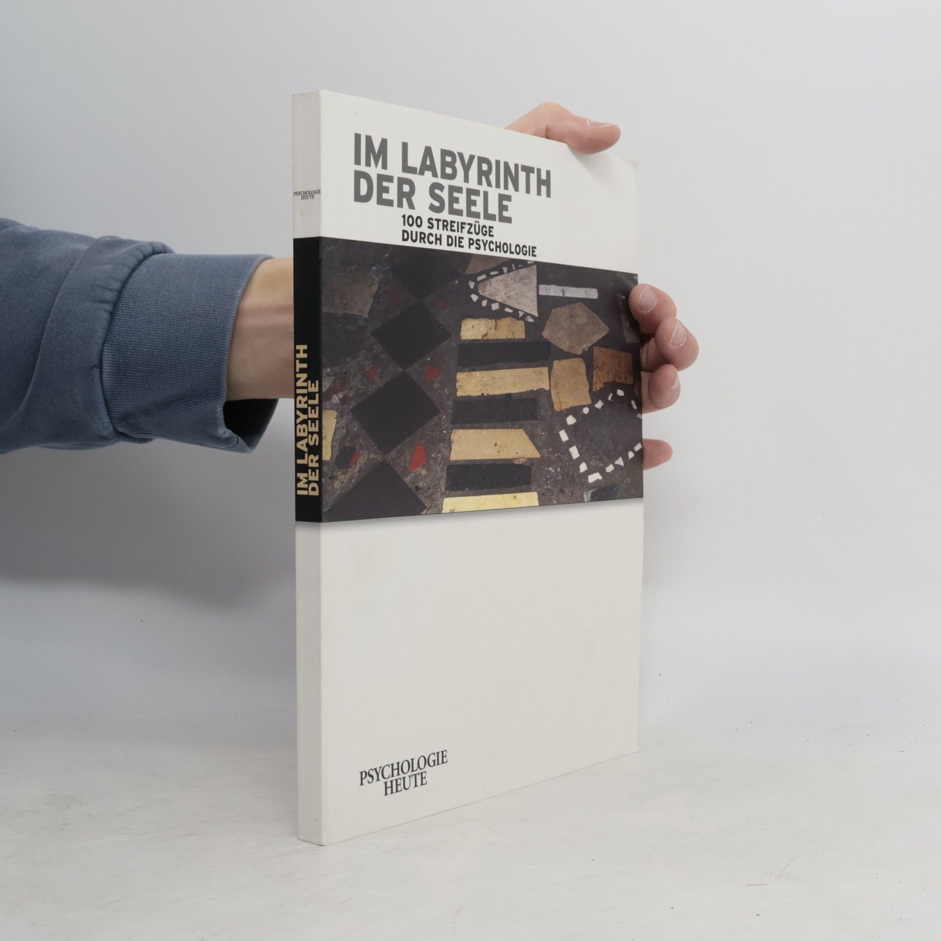 Autorenkollektiv Im Labyrinth der Seele