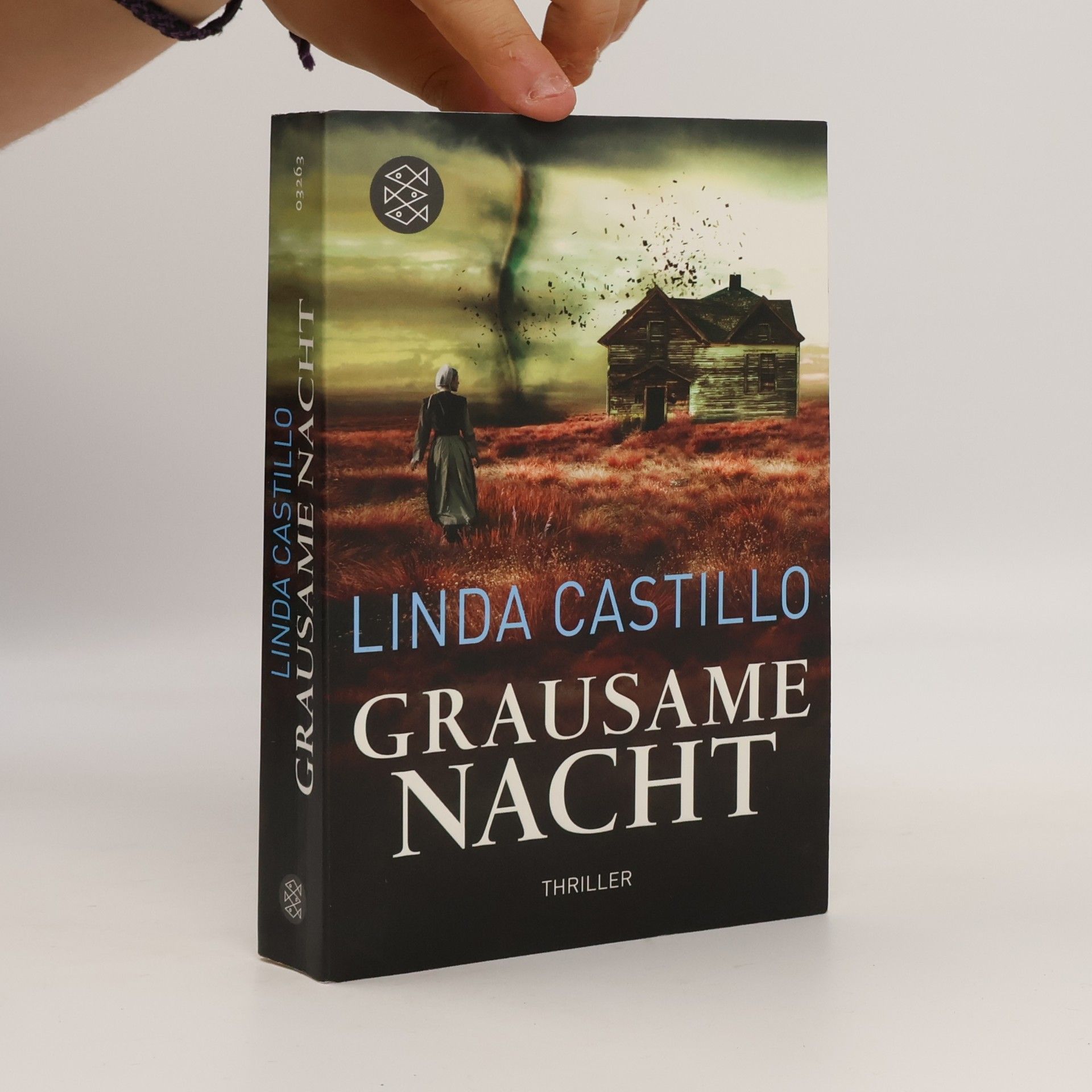 Linda Castillo Grausame Nacht