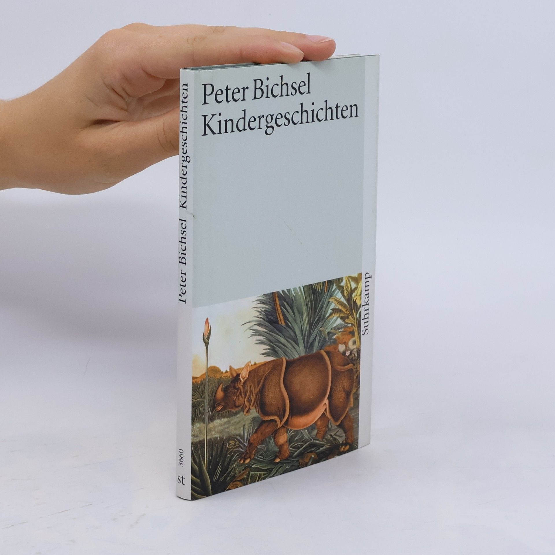 Peter Bichsel Kindergeschichten