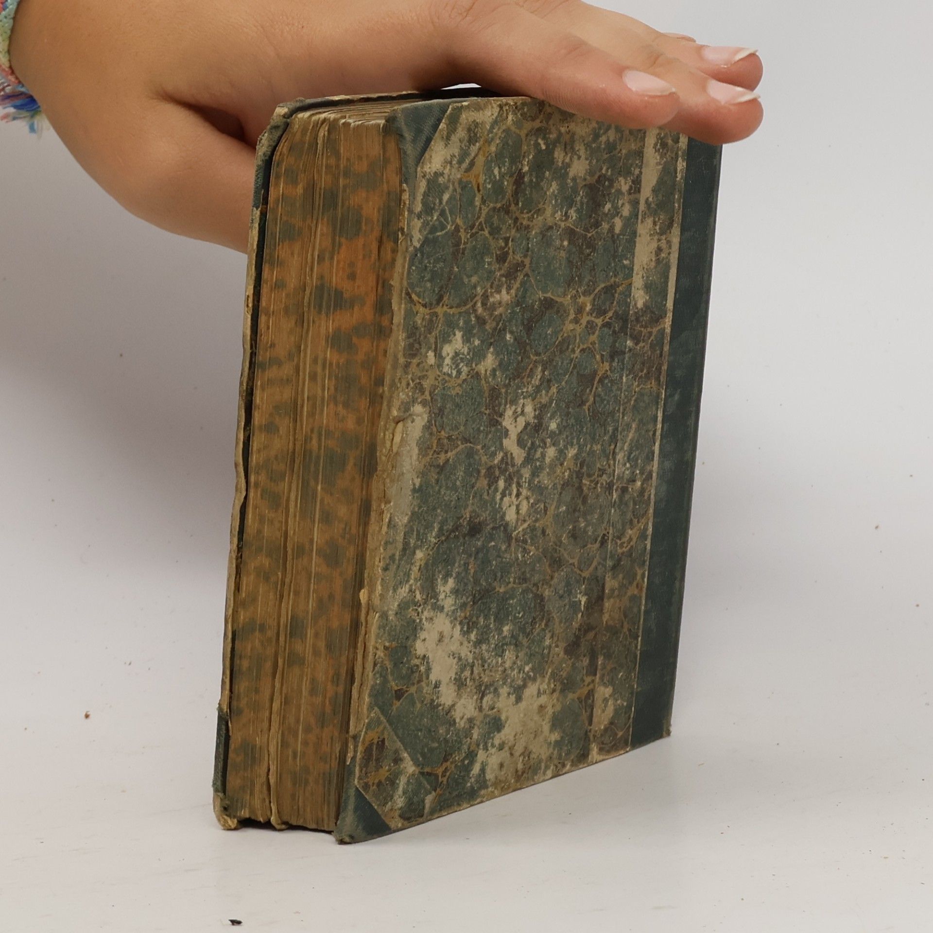 kolektiv F. W. Hackländer’s Werke 19