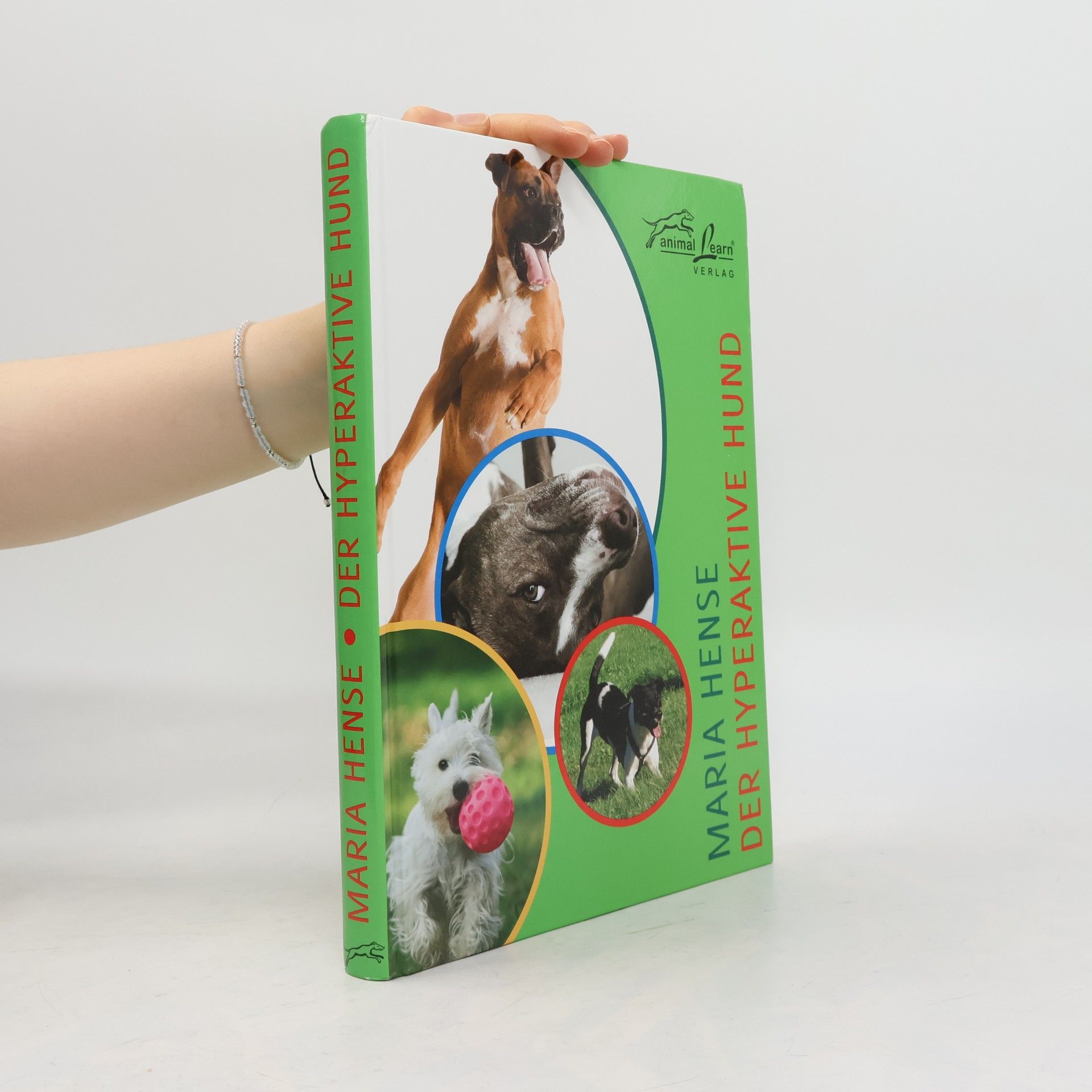 Maria Hense Der hyperaktive Hund