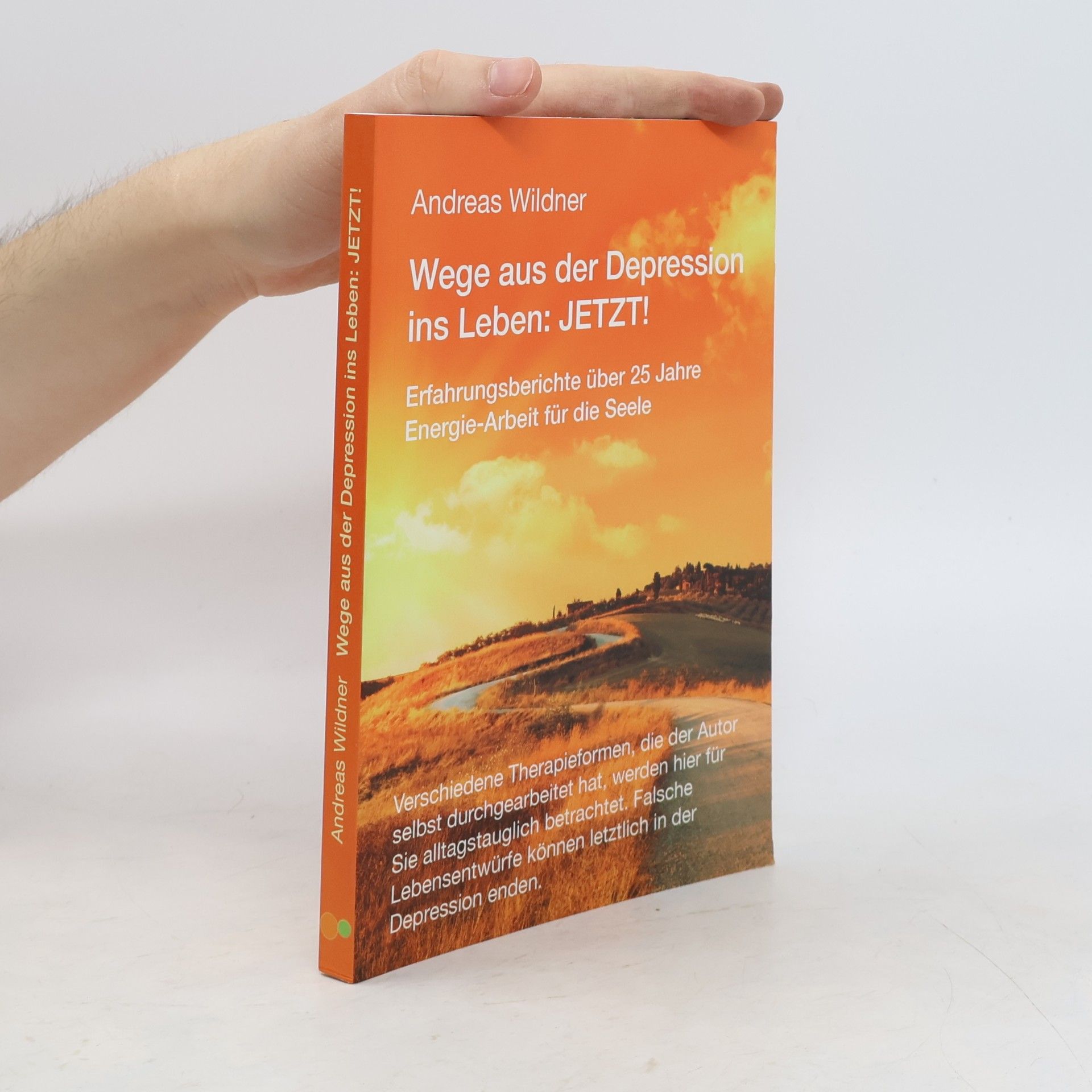 Andreas Wildner Wege aus der Depression ins Leben: Jetzt!