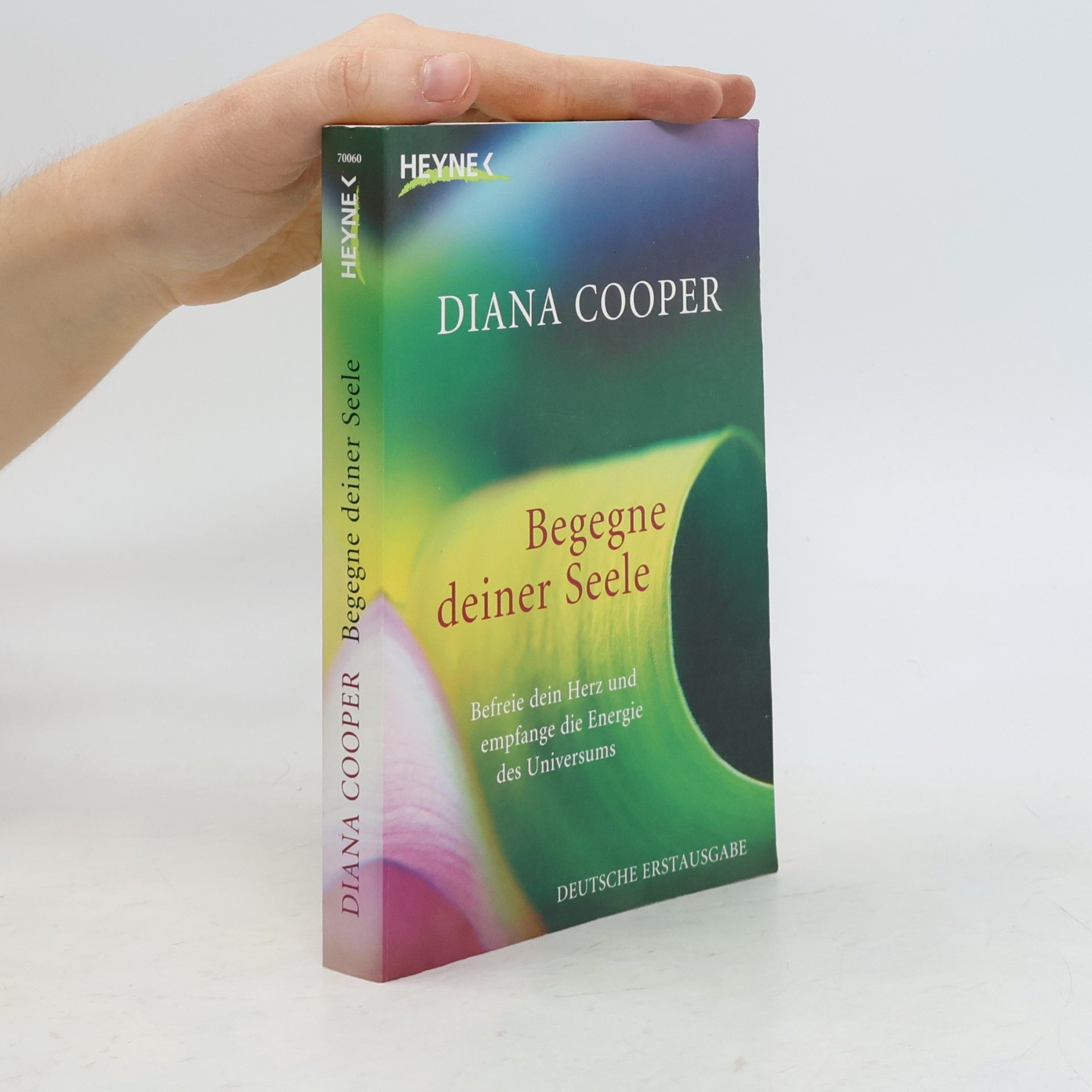 Begegne deiner Seele
