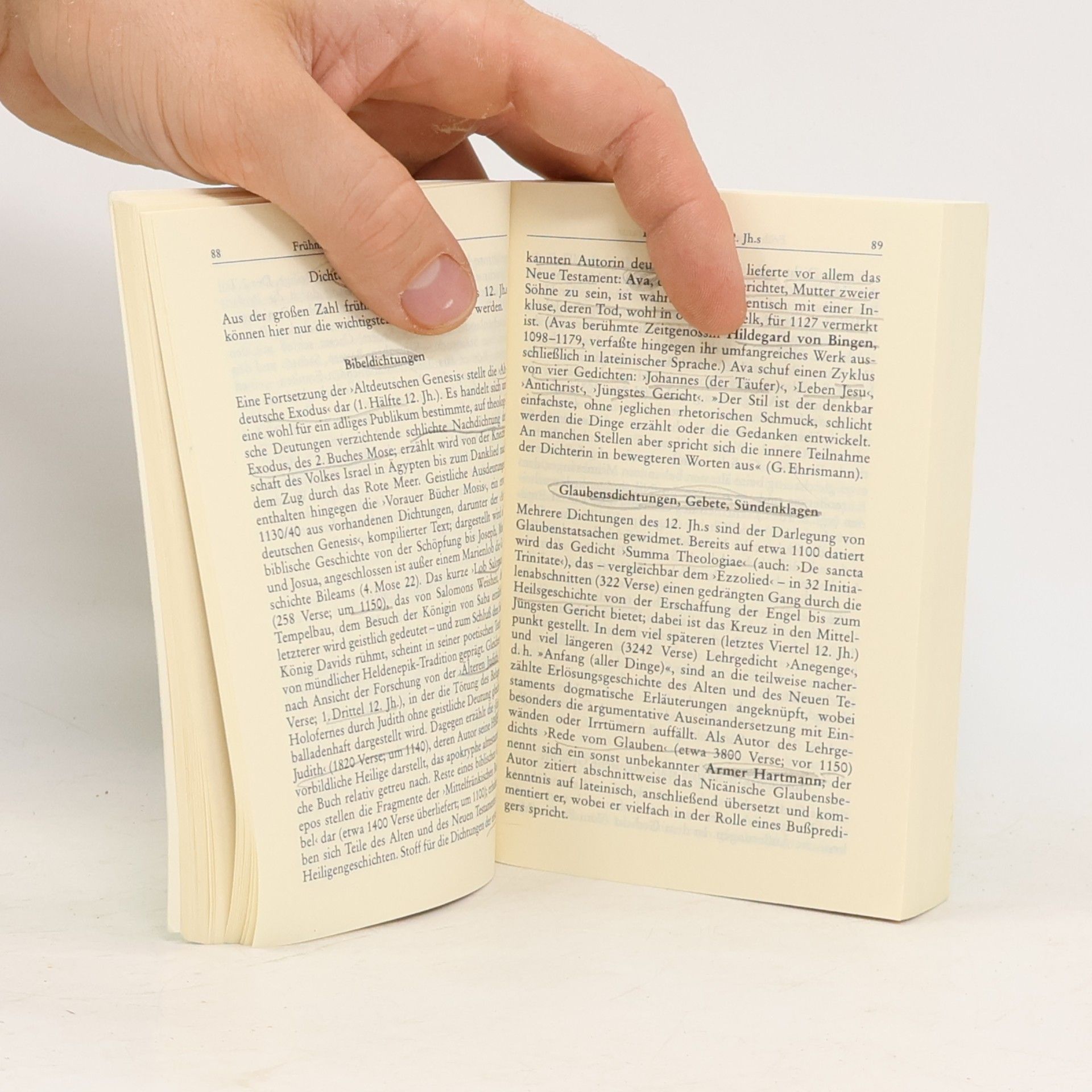 Horst Brunner Geschichte der deutschen Literatur des Mittelalters und der Frühen Neuzeit im Überblick