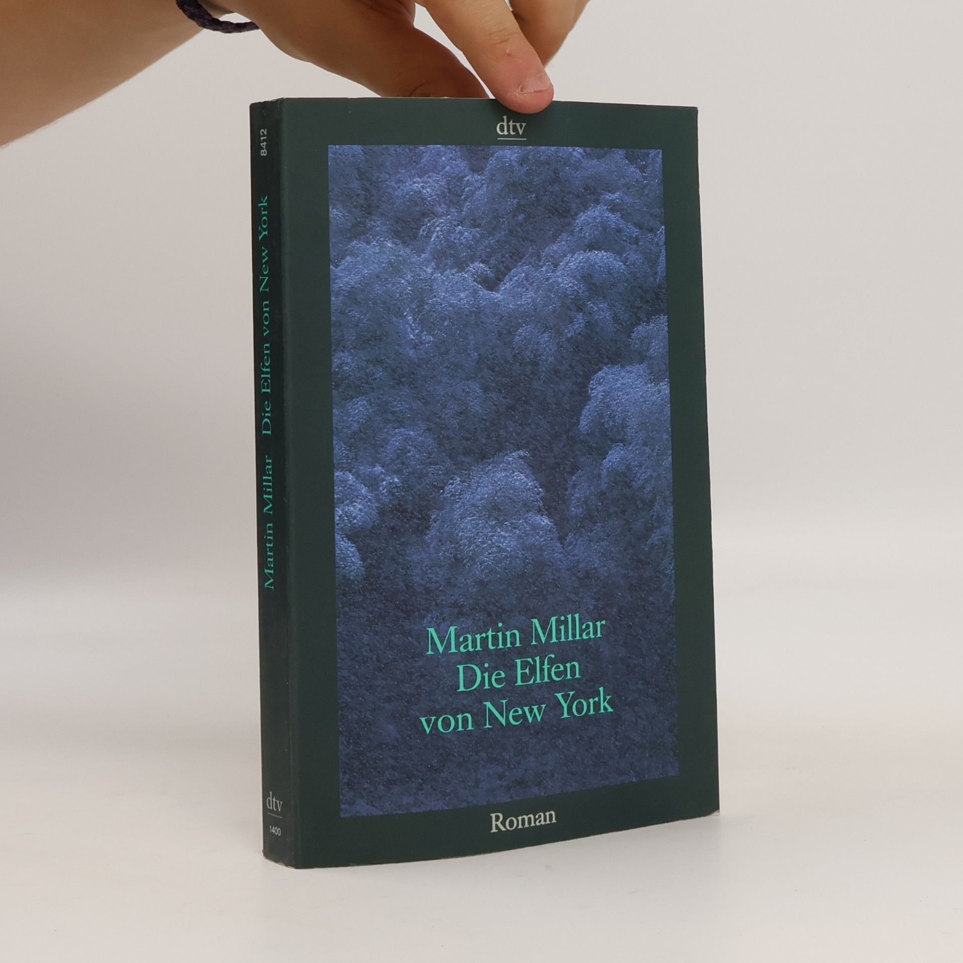 Martin Millar Die Elfen von New York