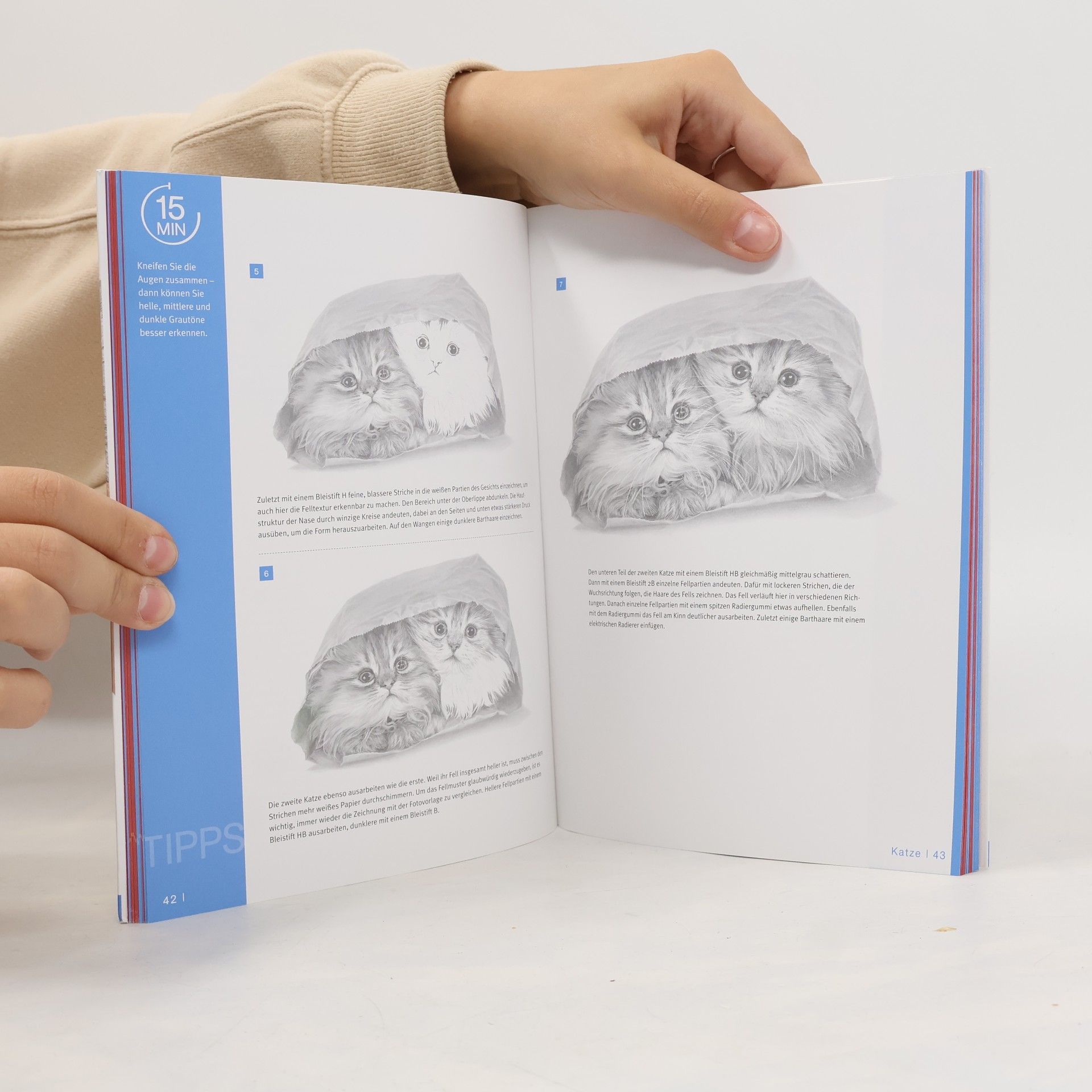 Frechverlag Die Kunst des Zeichnens - Tierkinder