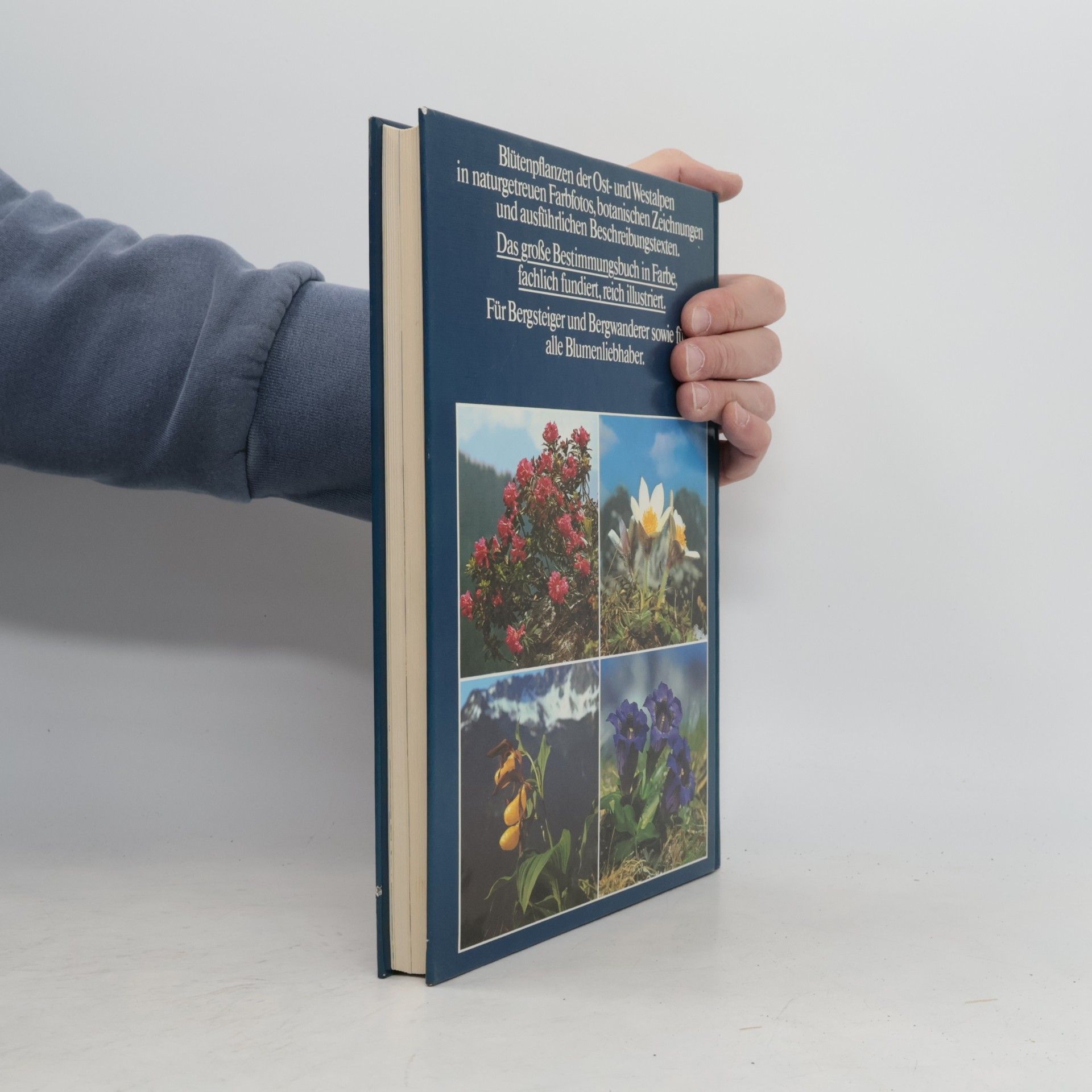 Wolfgang Lippert Fotoatlas der Alpenblumen