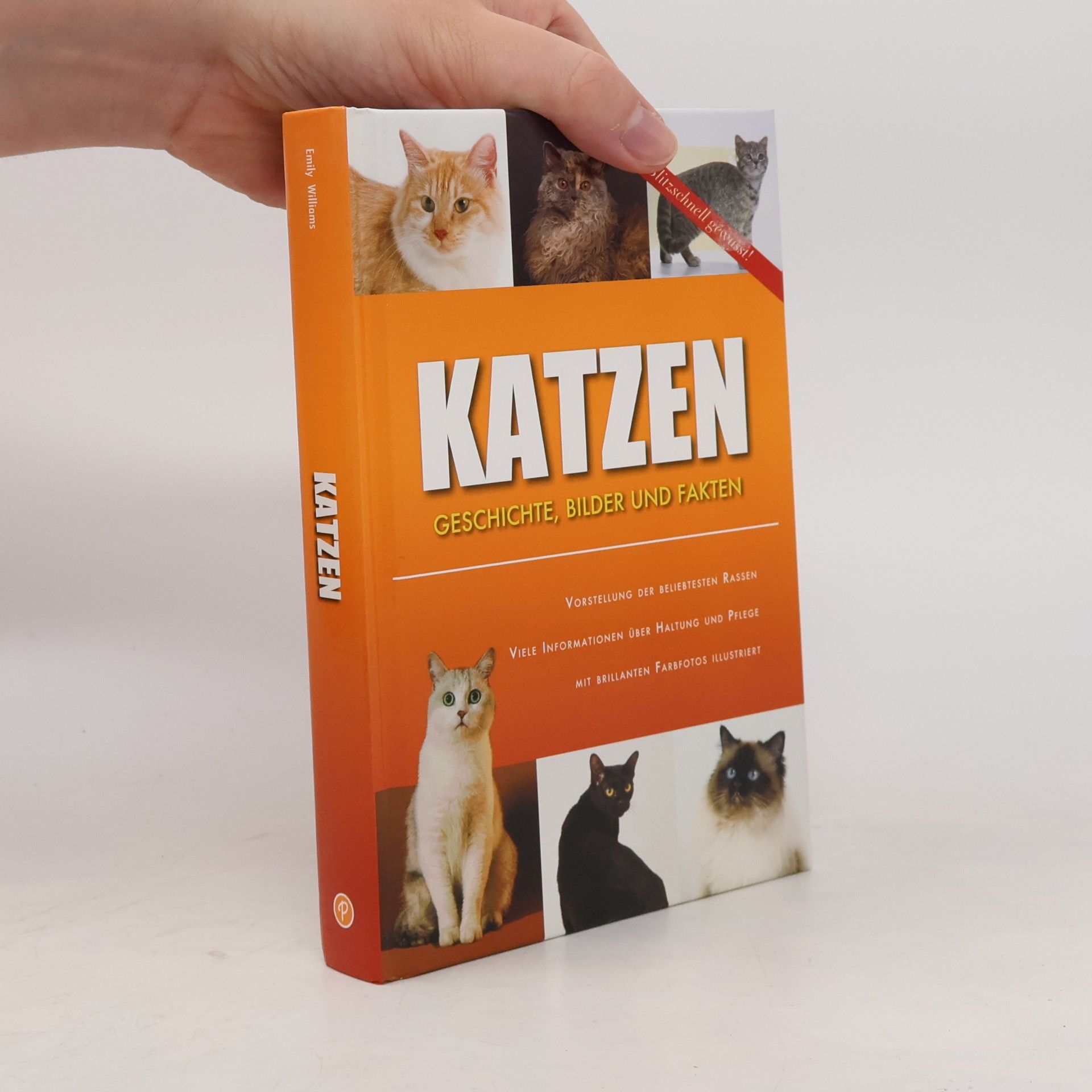 Autorenkollektiv Katzen