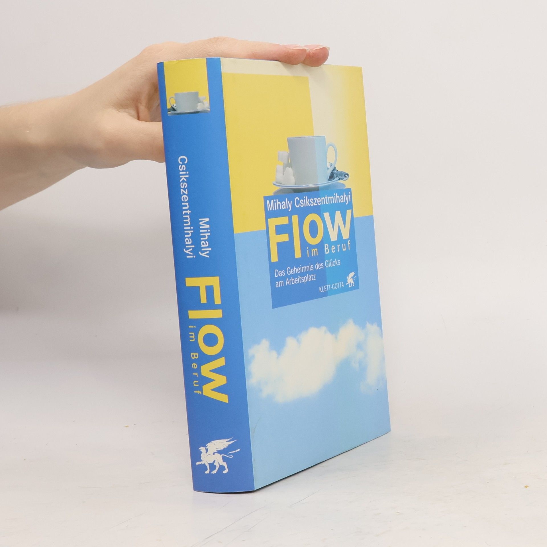Mihaly Csikszentmihalyi Flow im Beruf