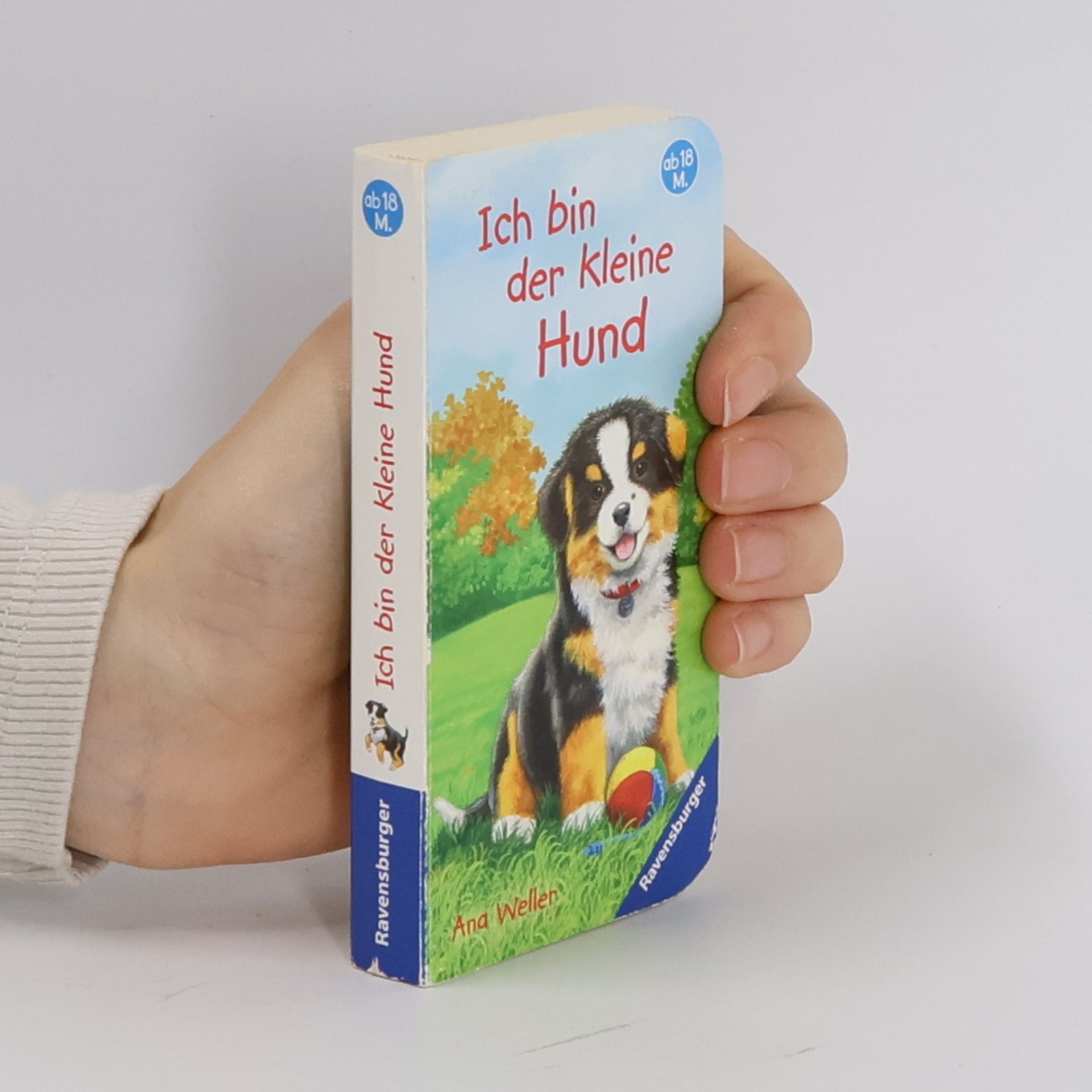 Ana Weller Ich bin der kleine Hund