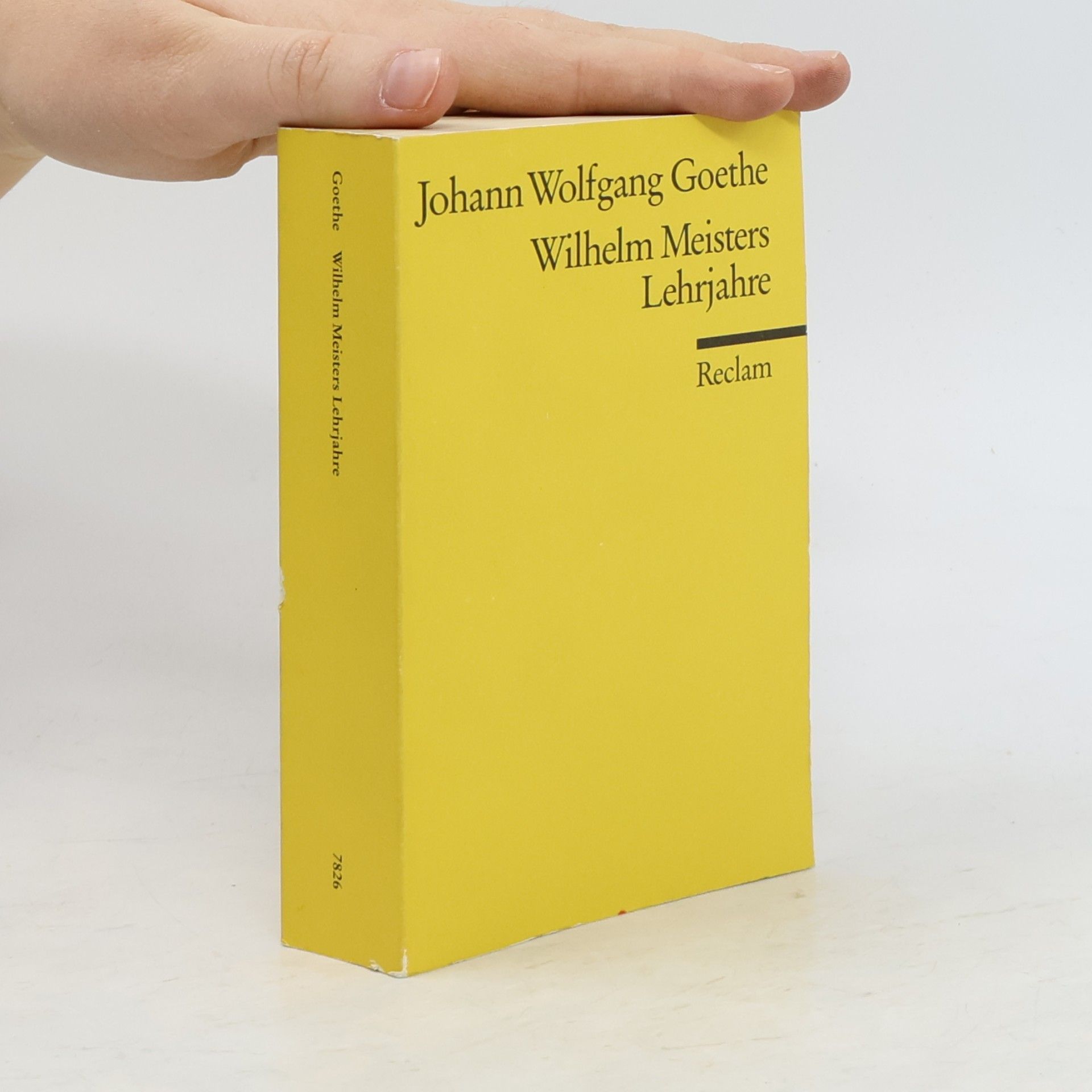 Johann Wolfgang von Goethe Wilhelm Meisters Lehrjahre
