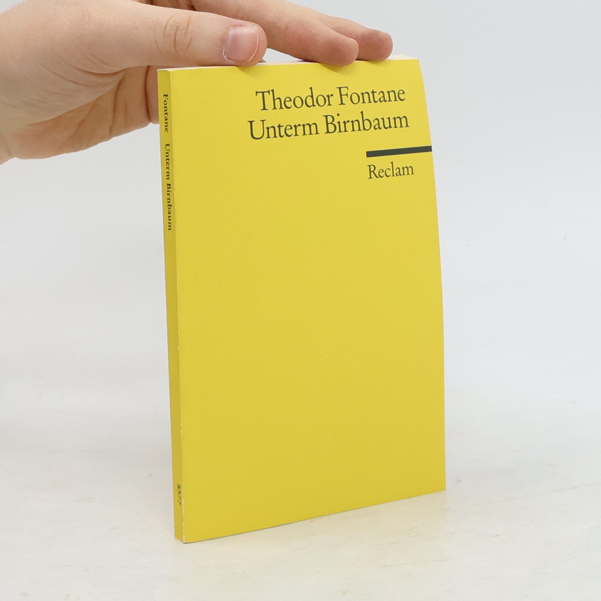 Theodor Fontane Unterm Birnbaum