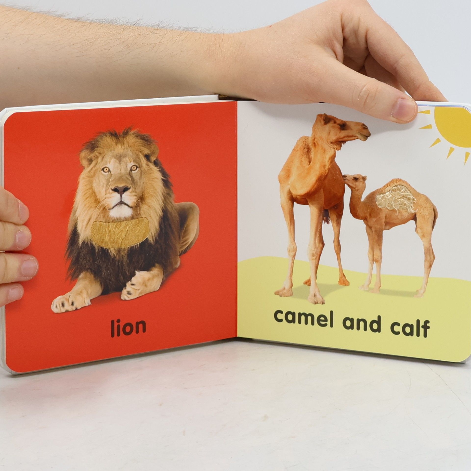 DK Publishing Baby Touch and Feel