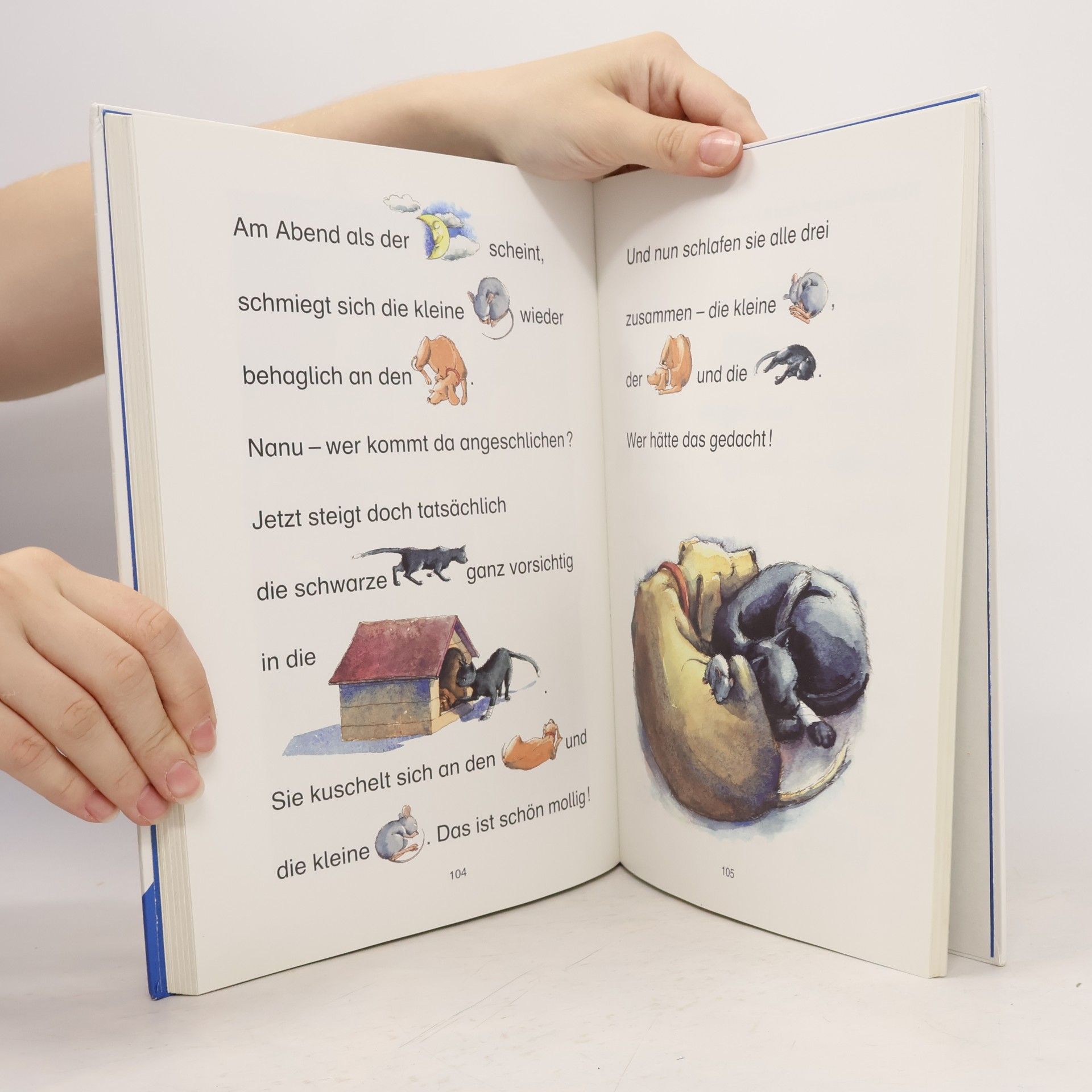 Rosemarie Künzler-Behncke Mein großes Geschichten-Bilderbuch. Ein Lesebilderbuch. Zum Vorlesen, Mitlesen und Selbstlesen. 6 Bilderbücher in einem Band