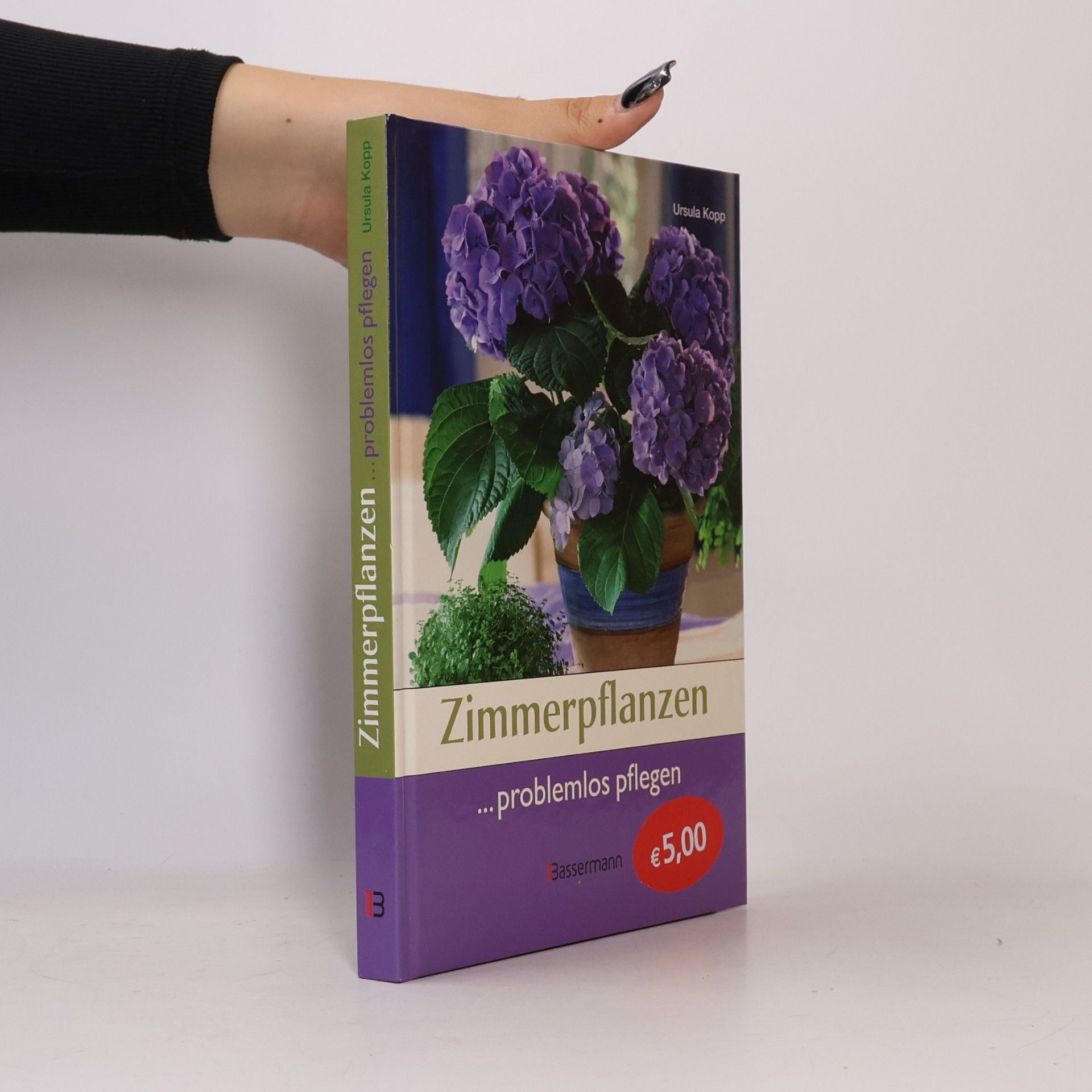 Zimmerpflanzen ... problemlos pflegen
