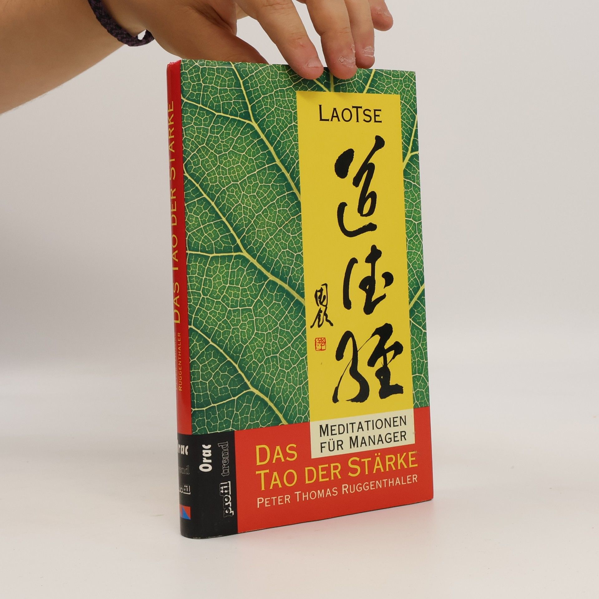 Lao Zi Das Tao der Stärke