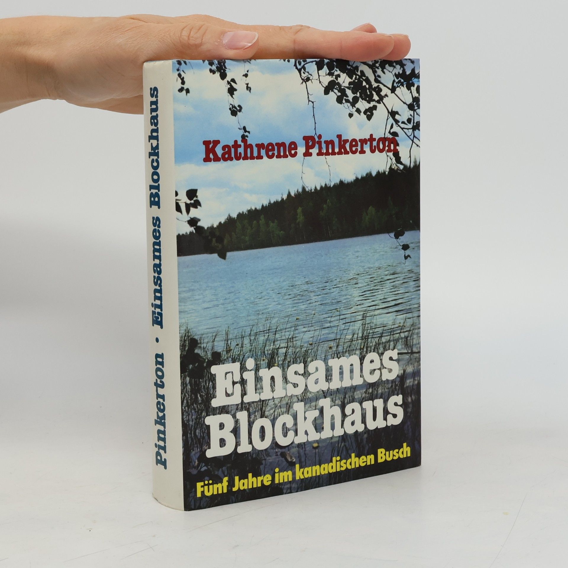 Einsames Blockhaus