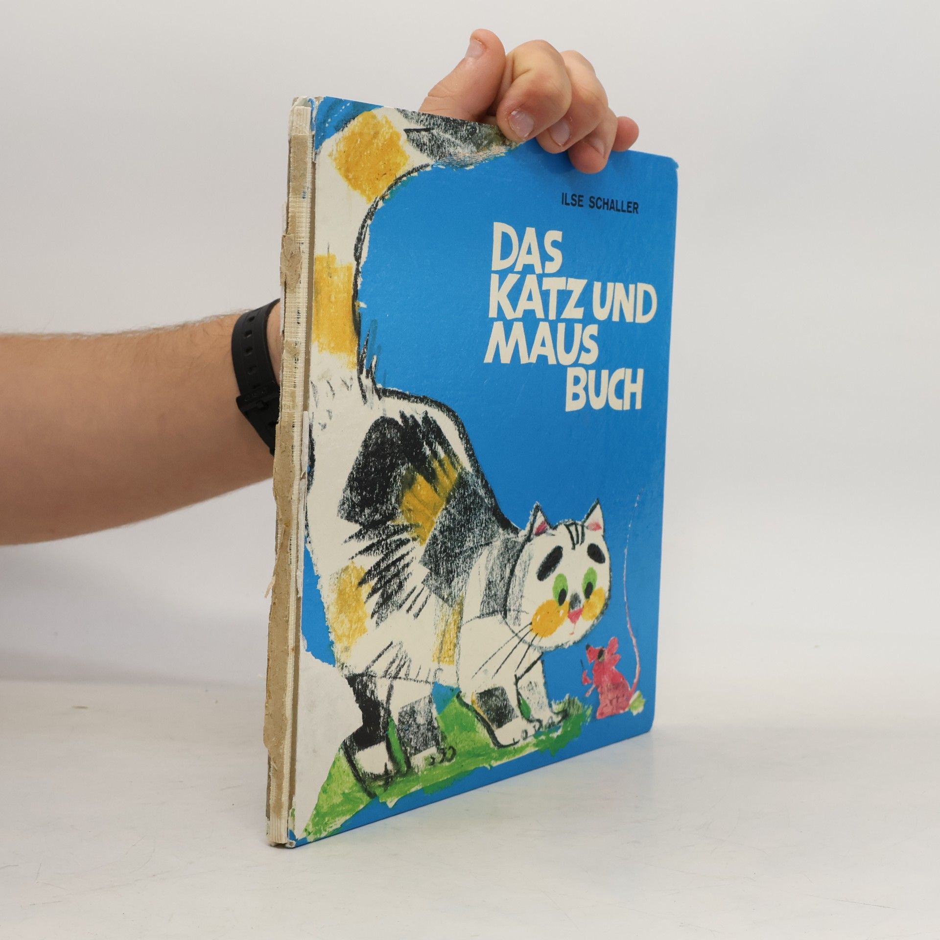 Ilse Schaller Das Katz und Maus Buch