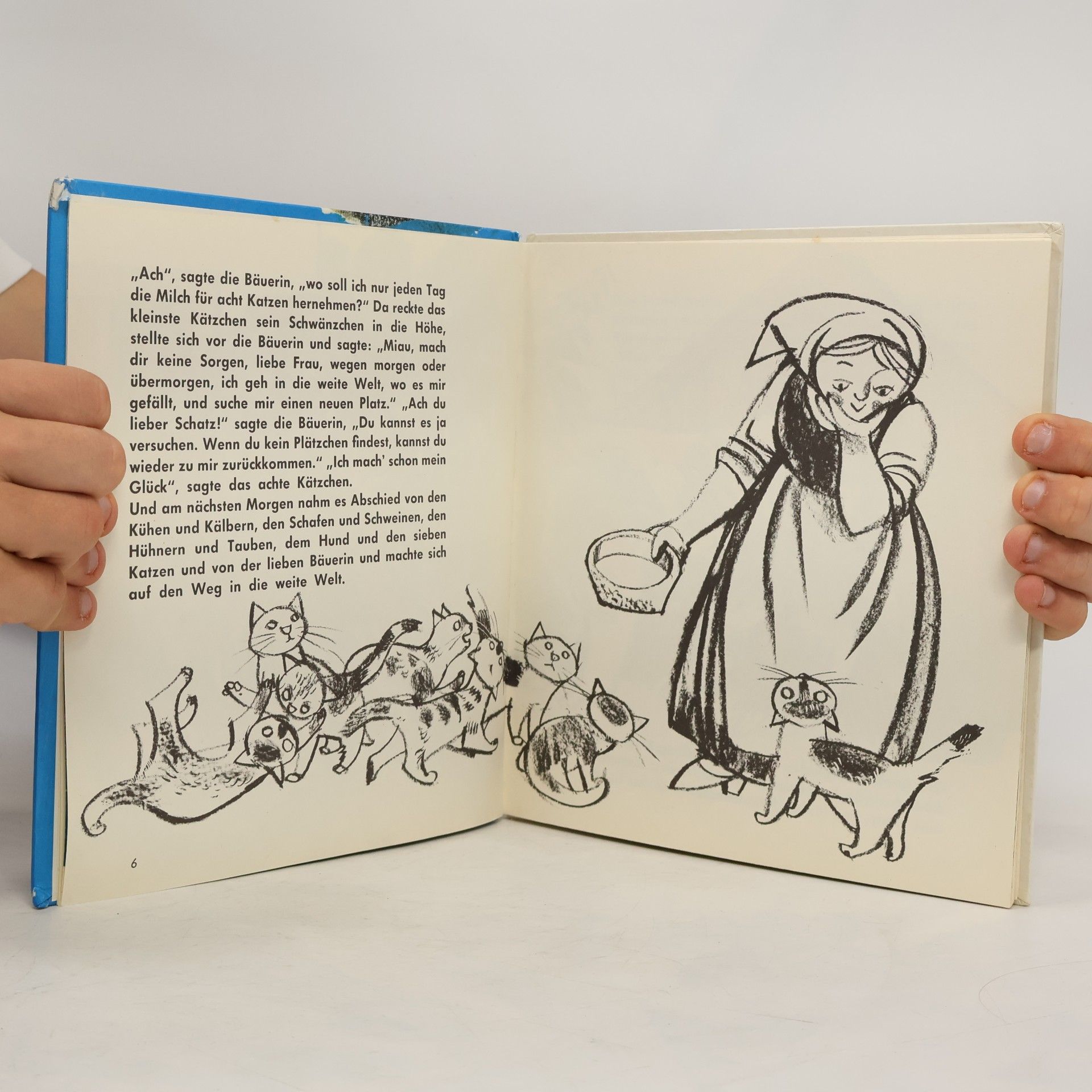 Ilse Schaller Das Katz und Maus Buch