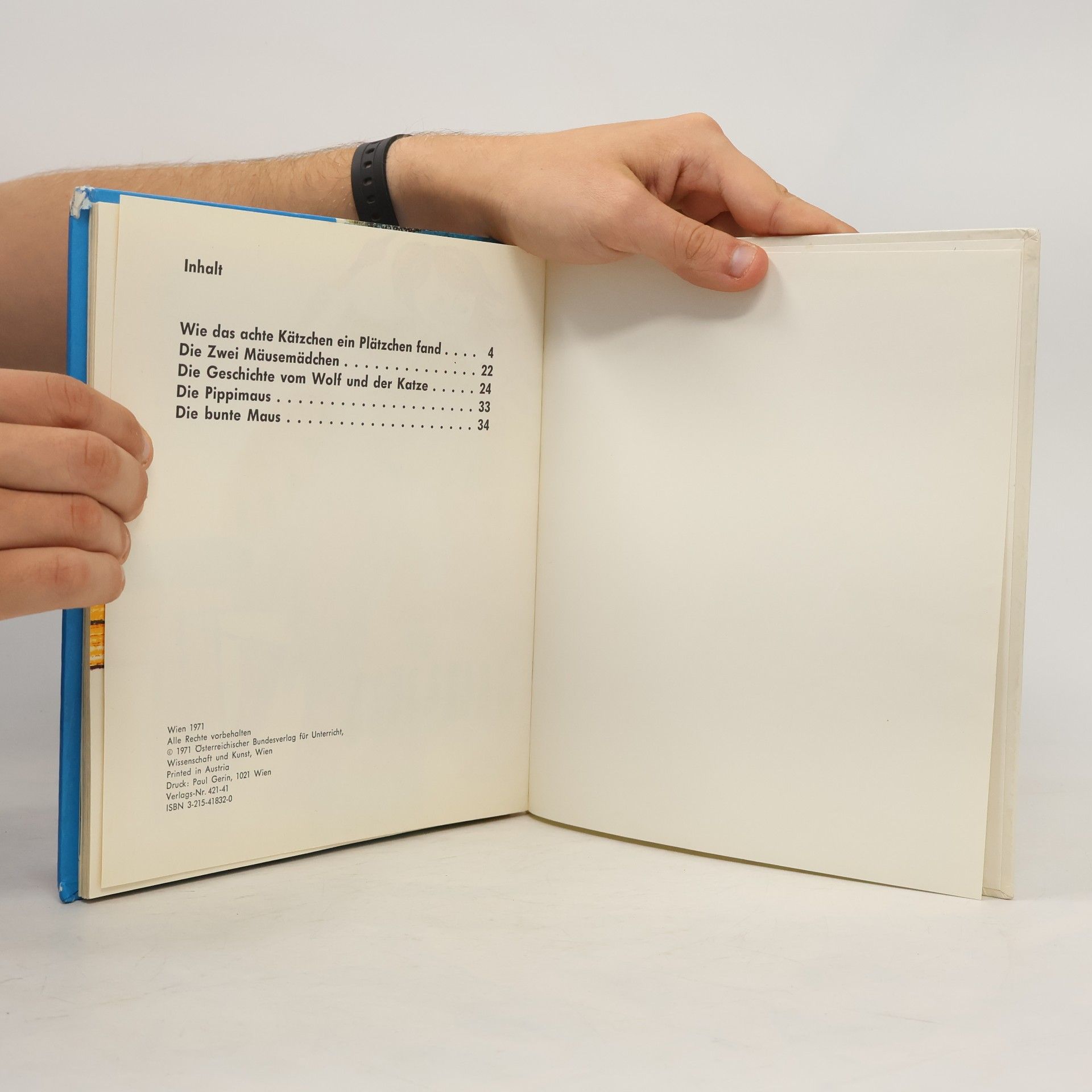 Ilse Schaller Das Katz und Maus Buch