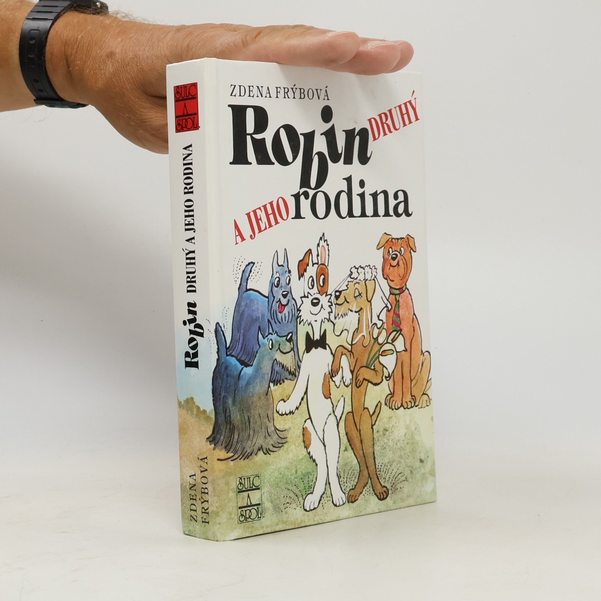 Zdena Frýbová Robin Druhý a jeho rodina