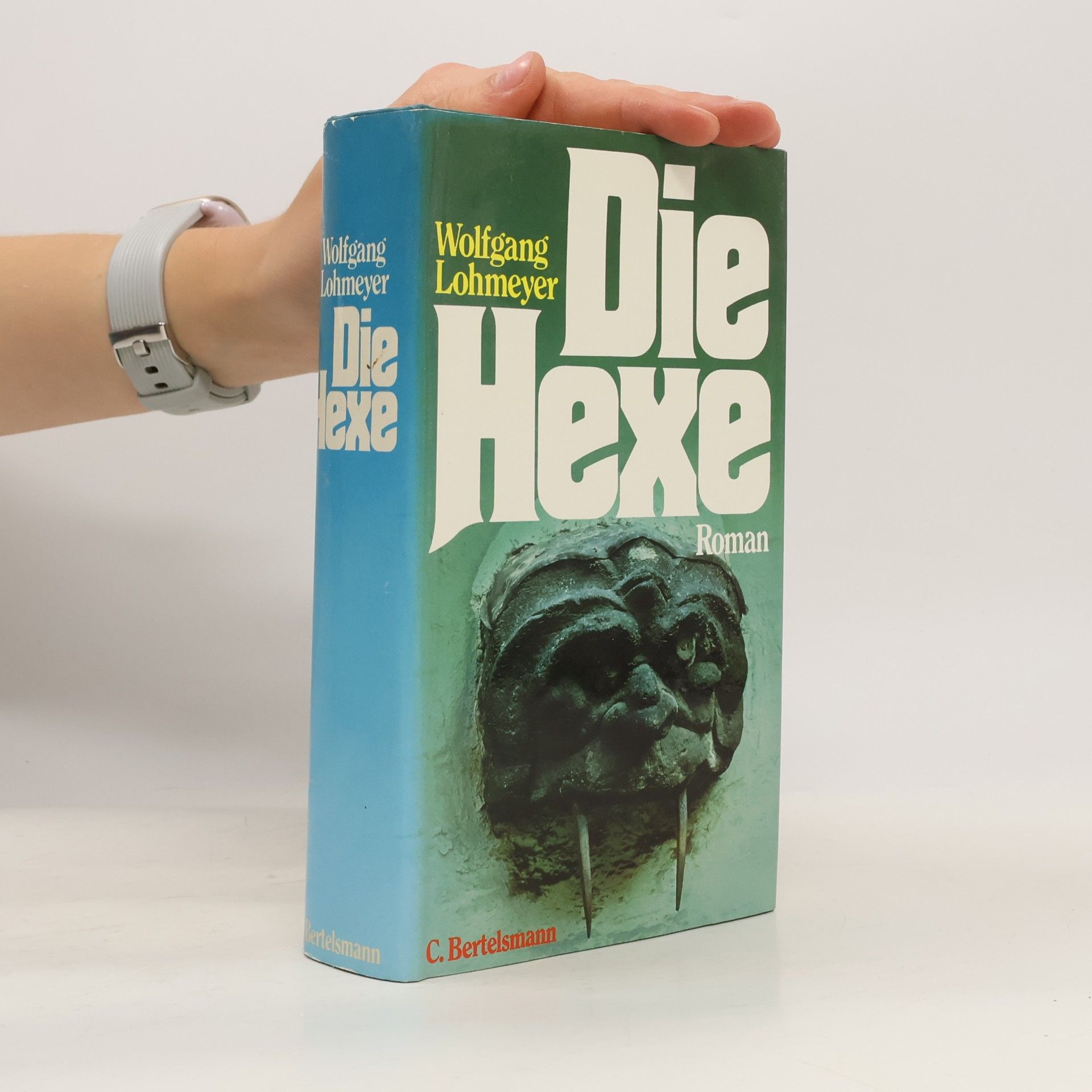 Wolfgang Lohmeyer Die Hexe