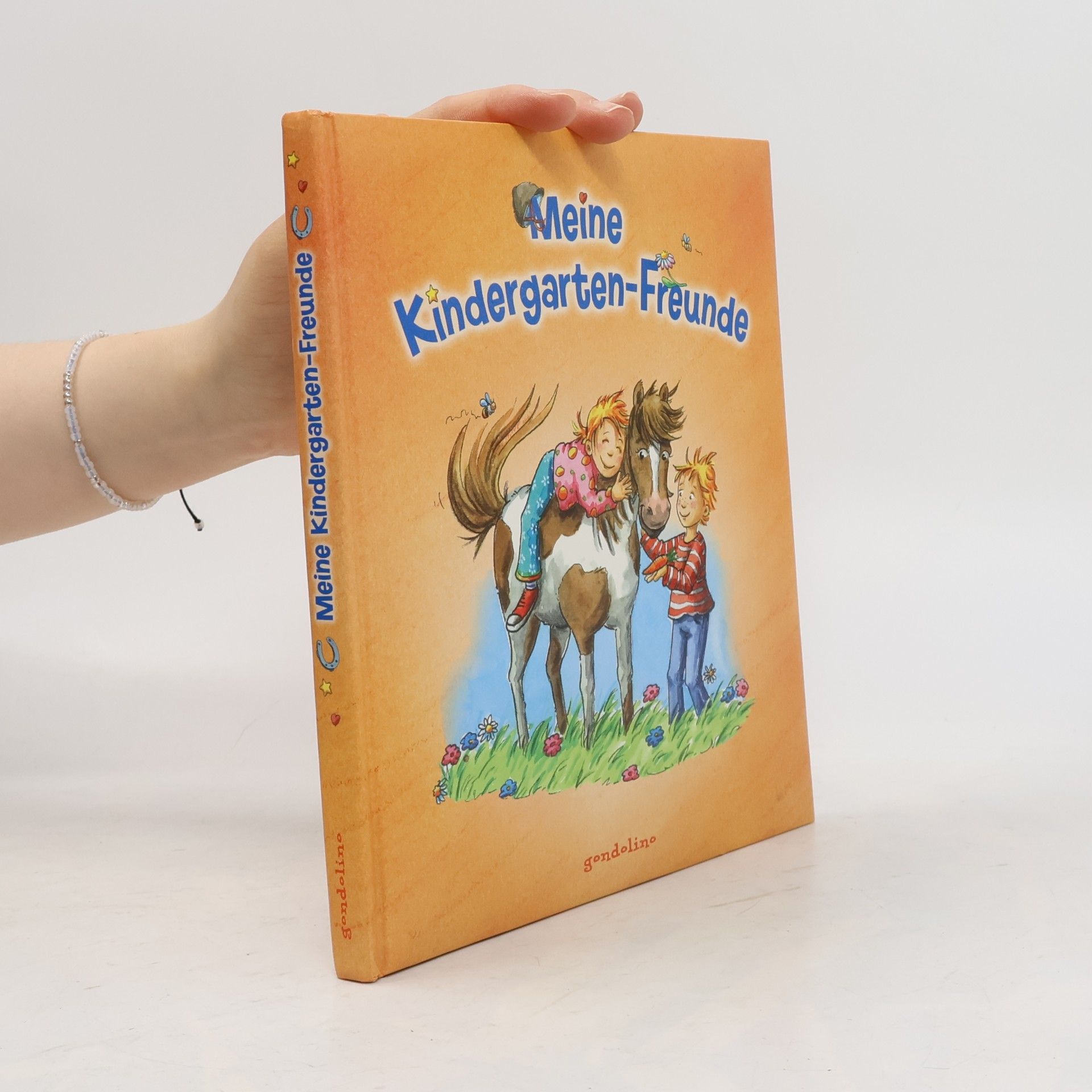 Petra Theissen Meine Kindergartenfreunde (Ponys): Eintragbuch für Kindergartenkinder ab 4 Jahren