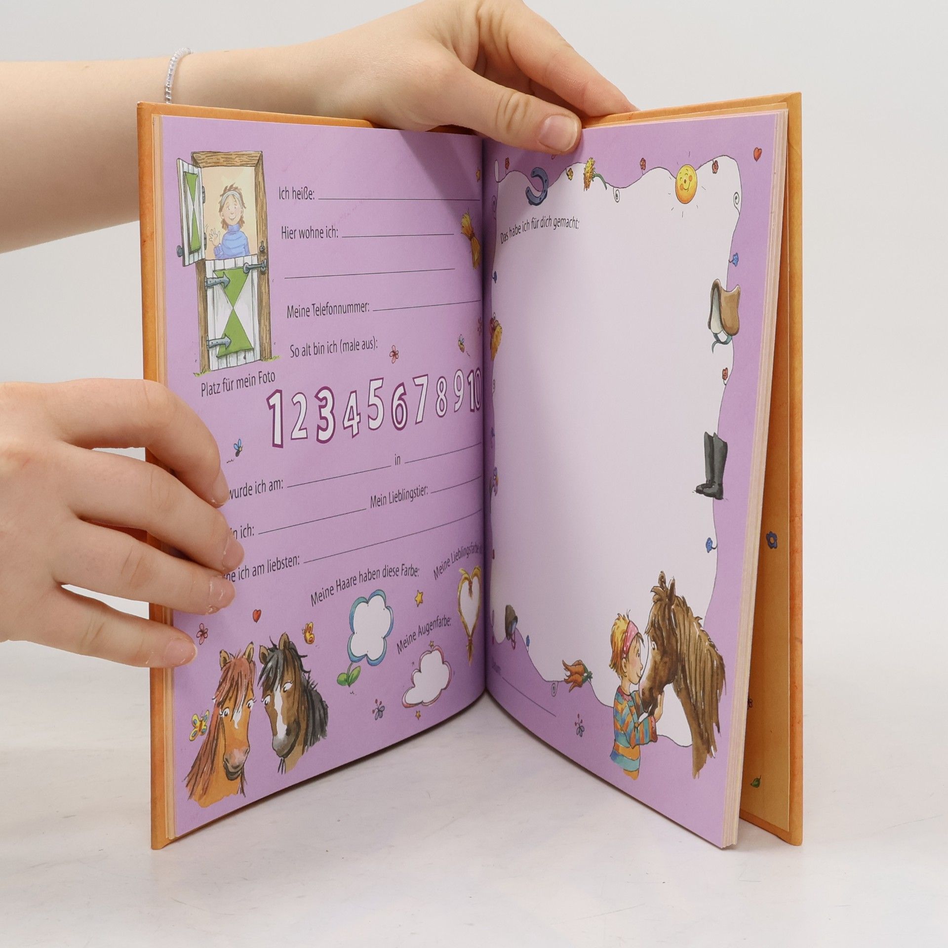 Petra Theissen Meine Kindergartenfreunde (Ponys): Eintragbuch für Kindergartenkinder ab 4 Jahren