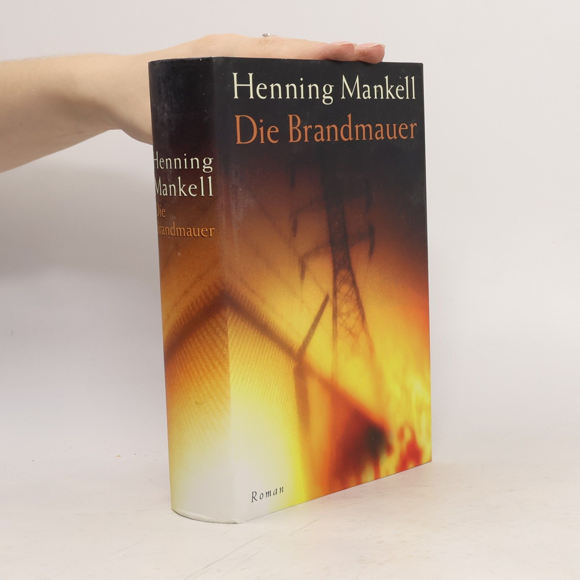 Henning Mankell Die Brandmauer