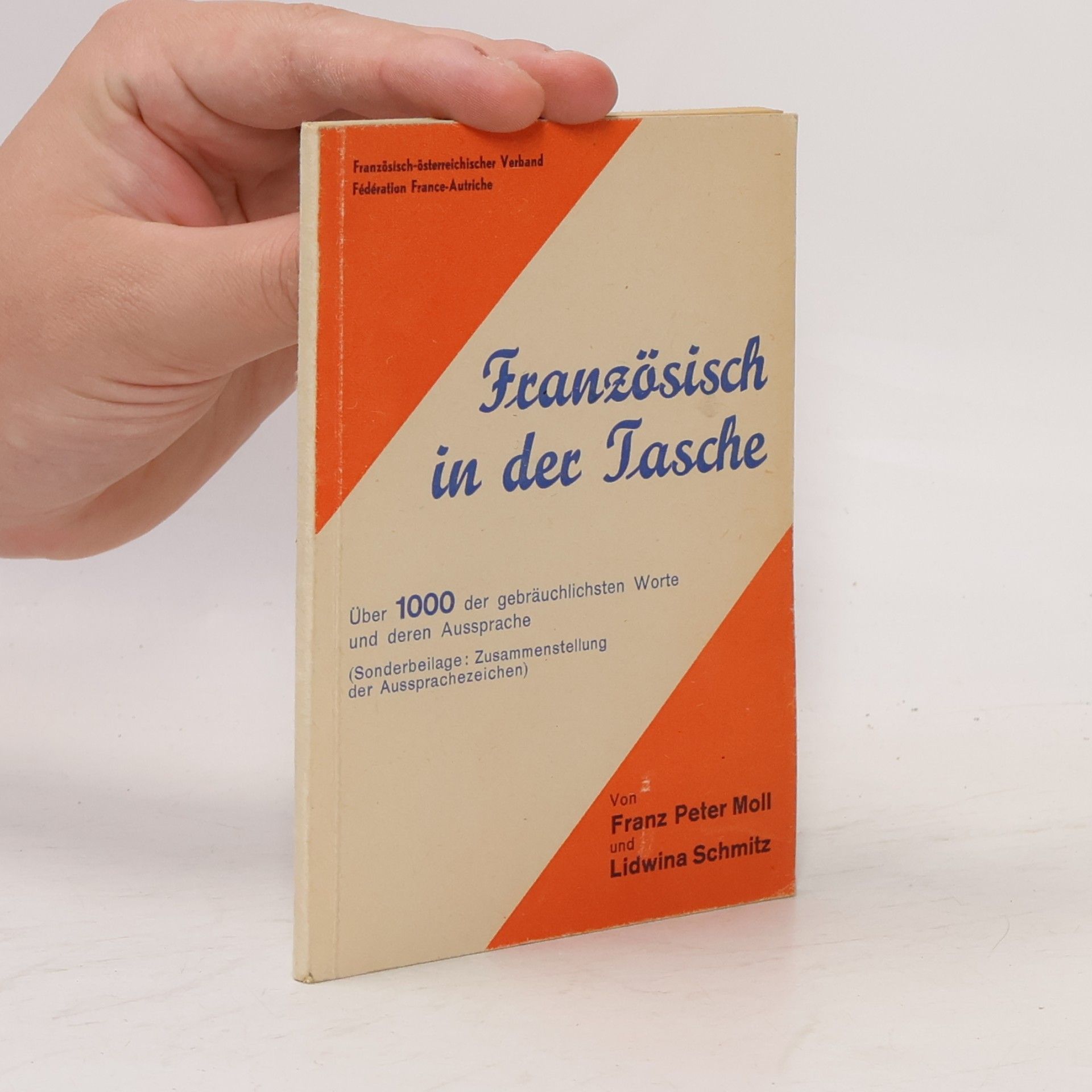 Lidwina Schmitz Französisch in der Tasche