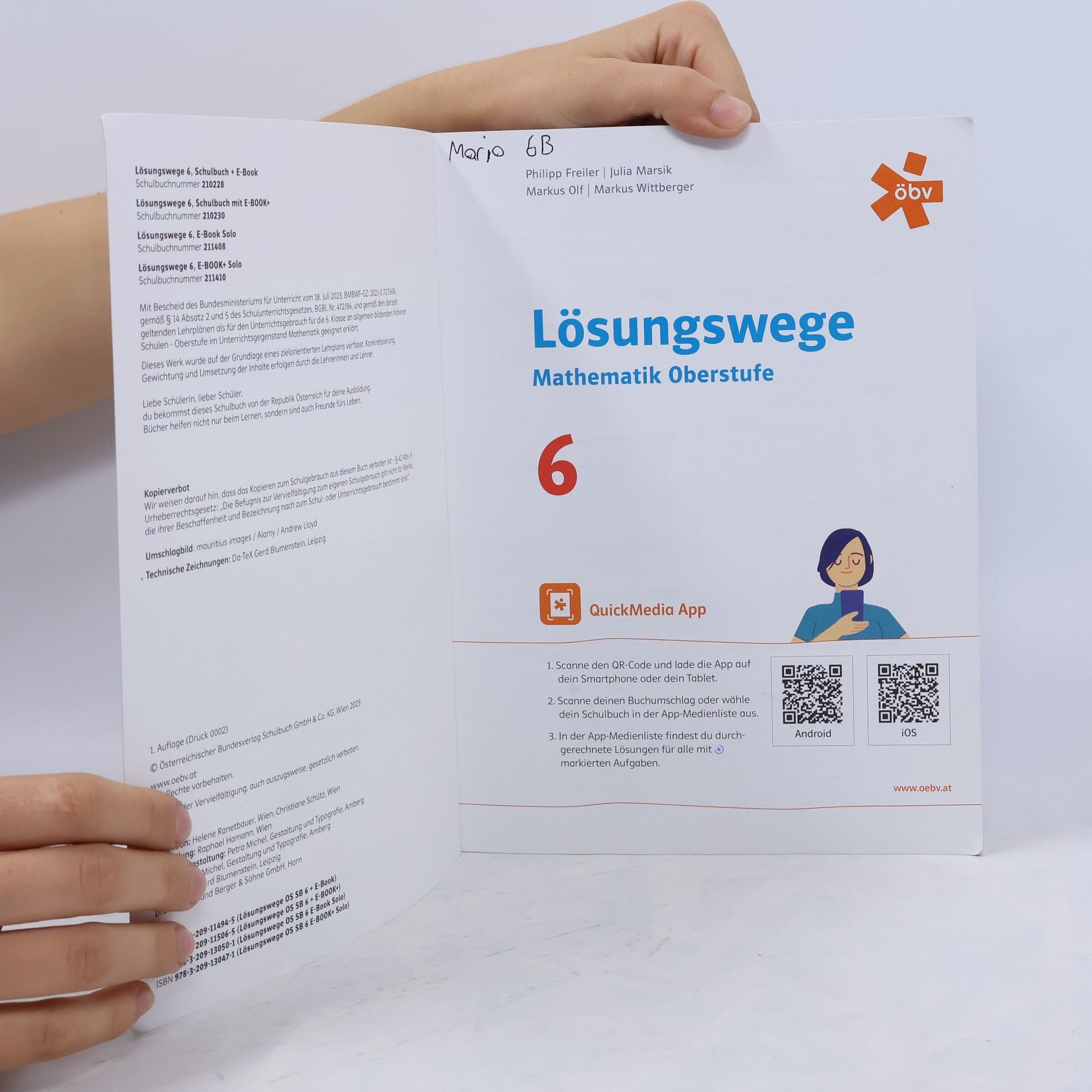 Philipp Freiler Lösungswege Mathematik Oberstufe 6