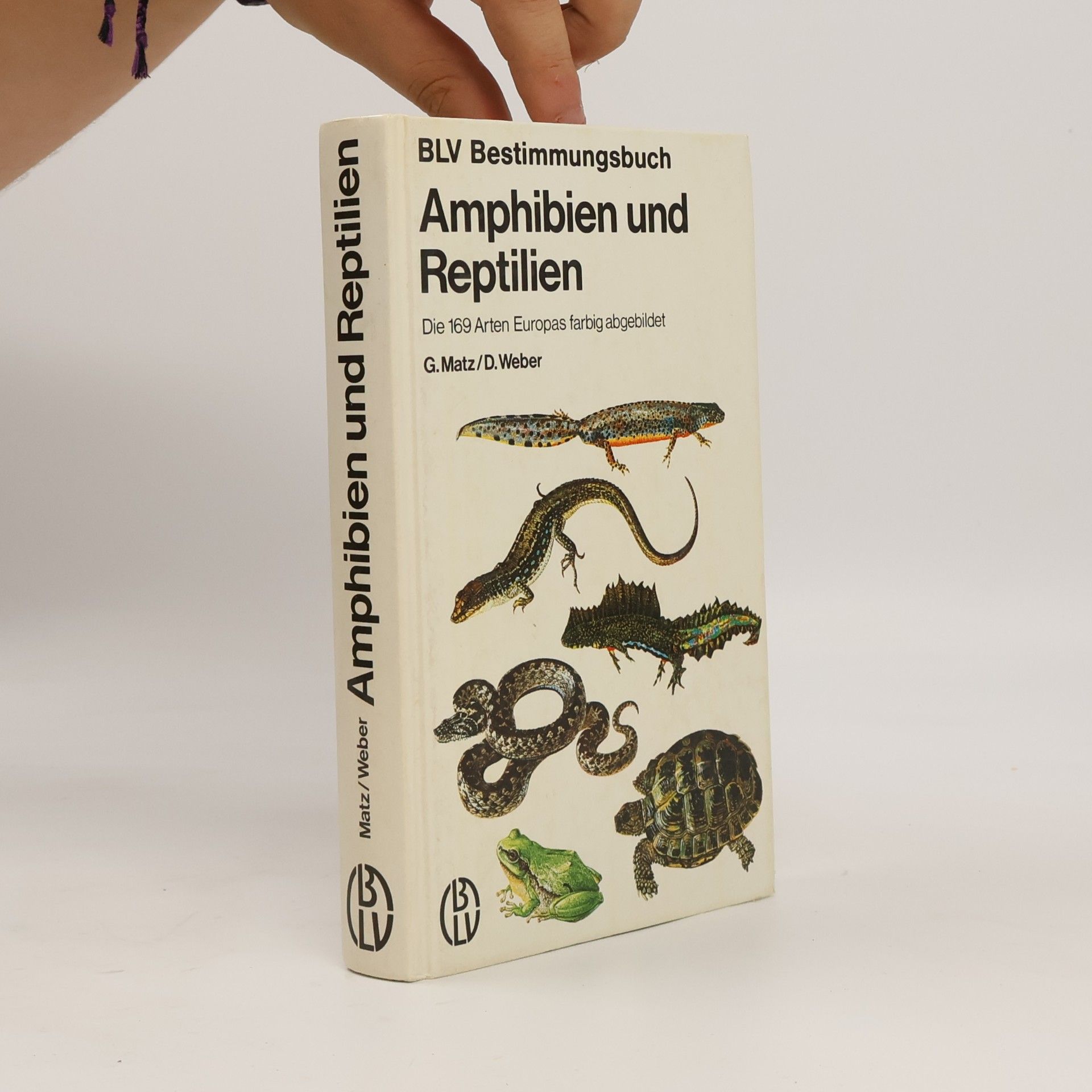 Gilbert Matz Amphibien und Reptilien