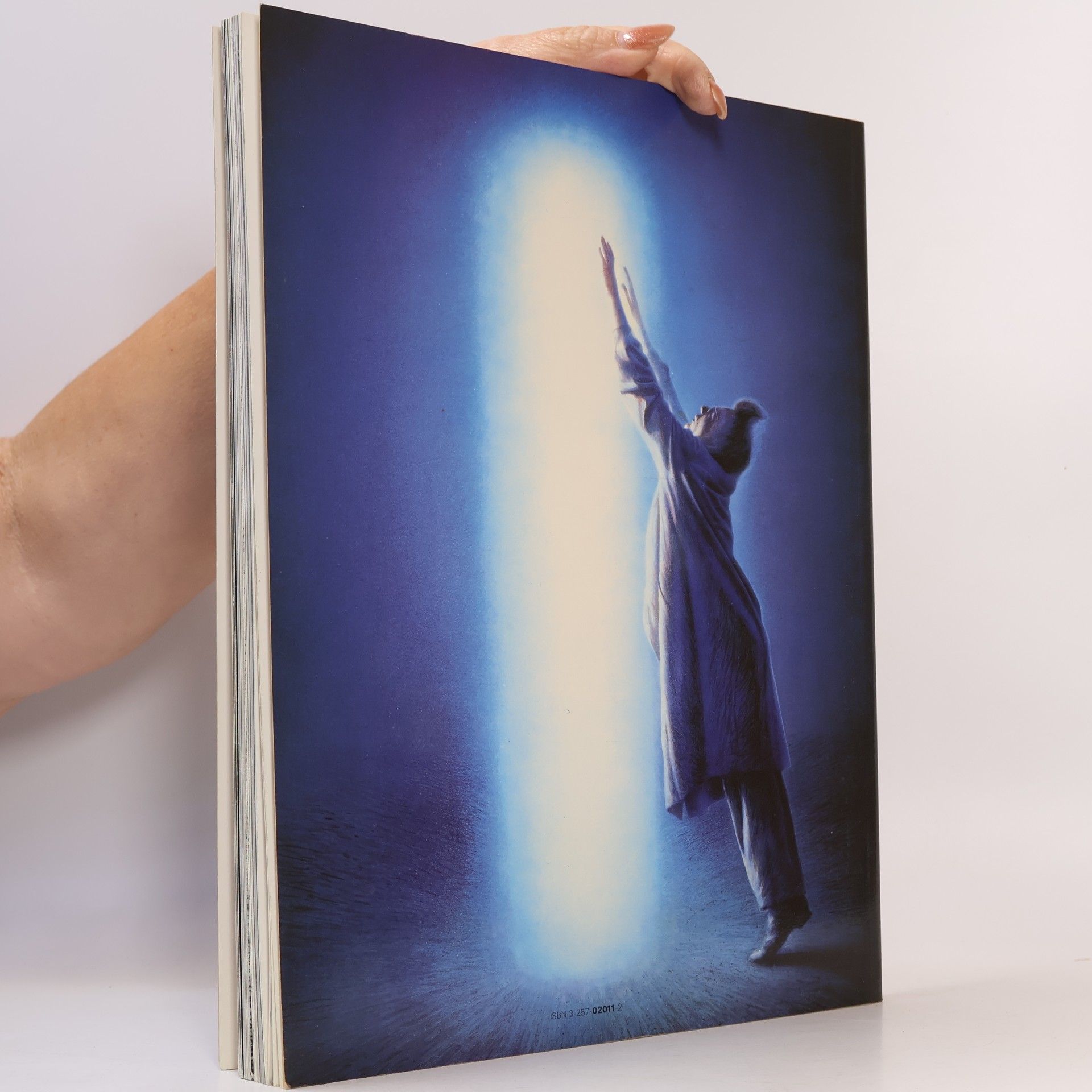 Gottfried Helnwein Die Katastrophe