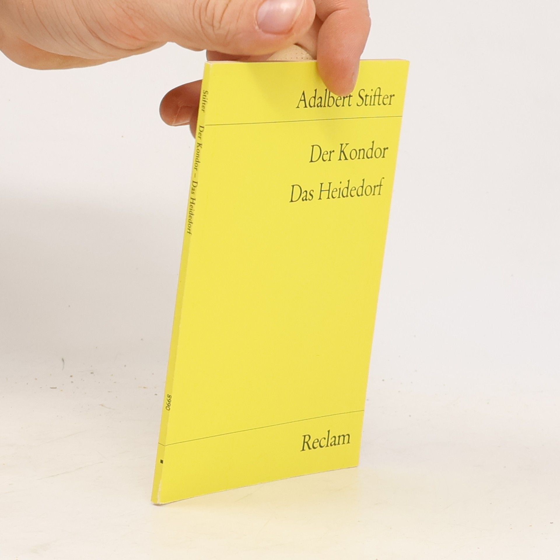 Der Kondor