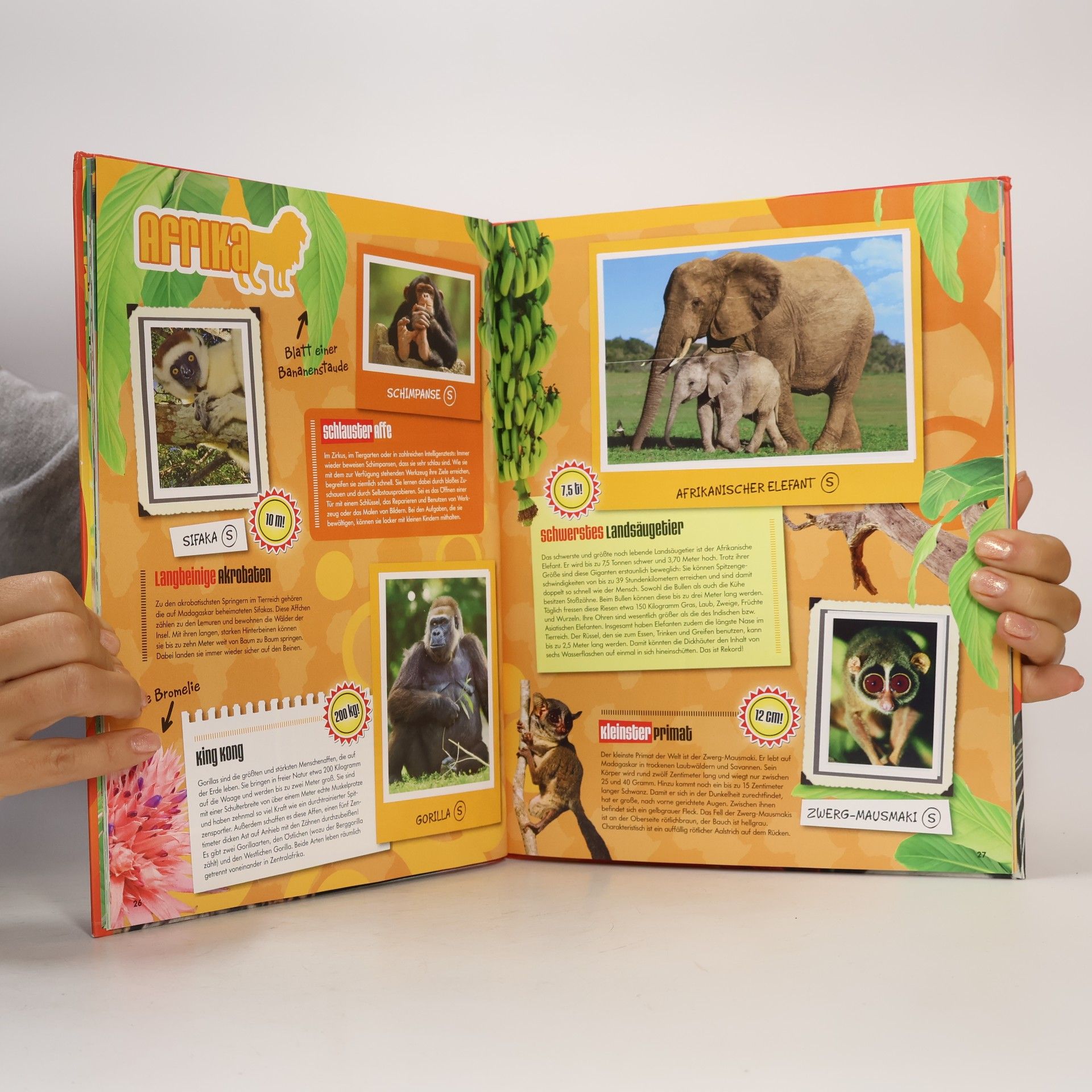 Autorenkollektiv Stickerbuch der Tierischen Rekorde