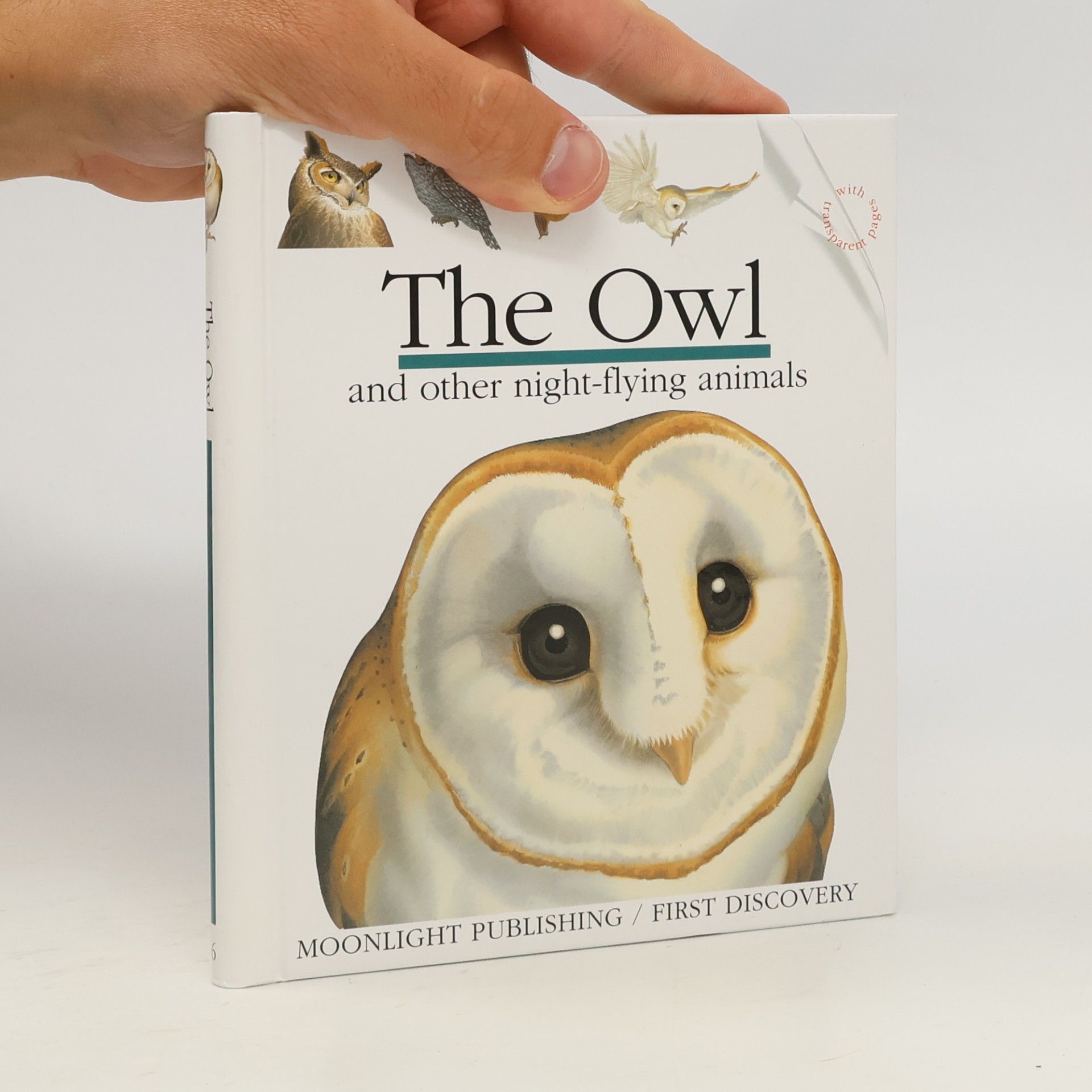 The Owl